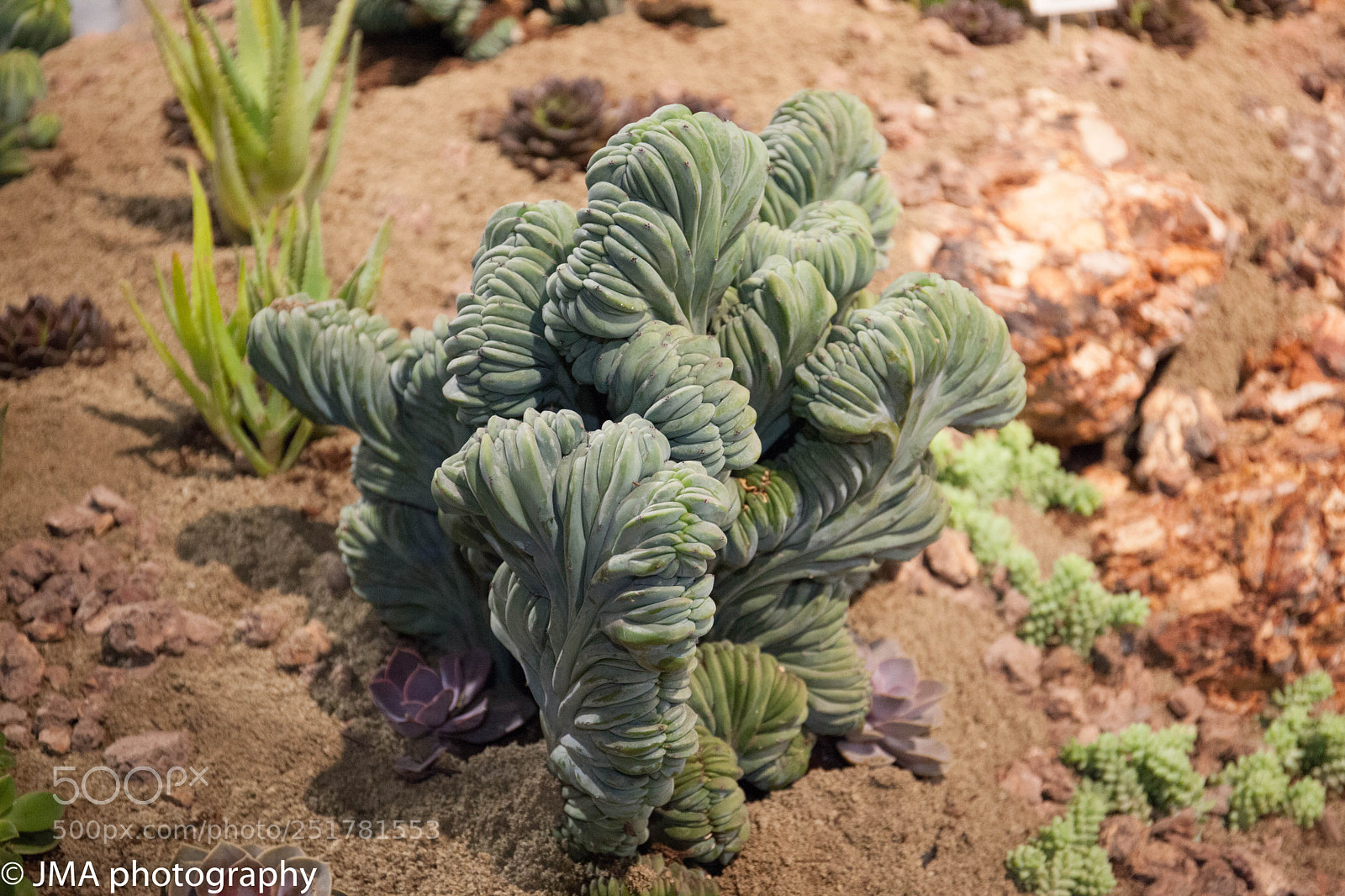 Canon EOS 5D Mark II sample photo. Img photography