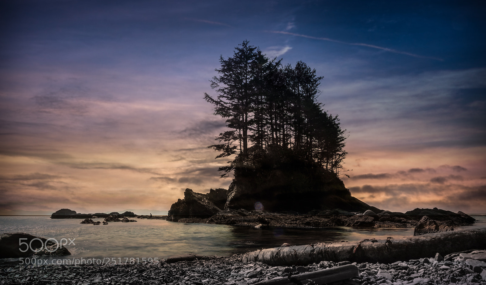 Olympus OM-D E-M1 Mark II sample photo. Island in botany bay photography