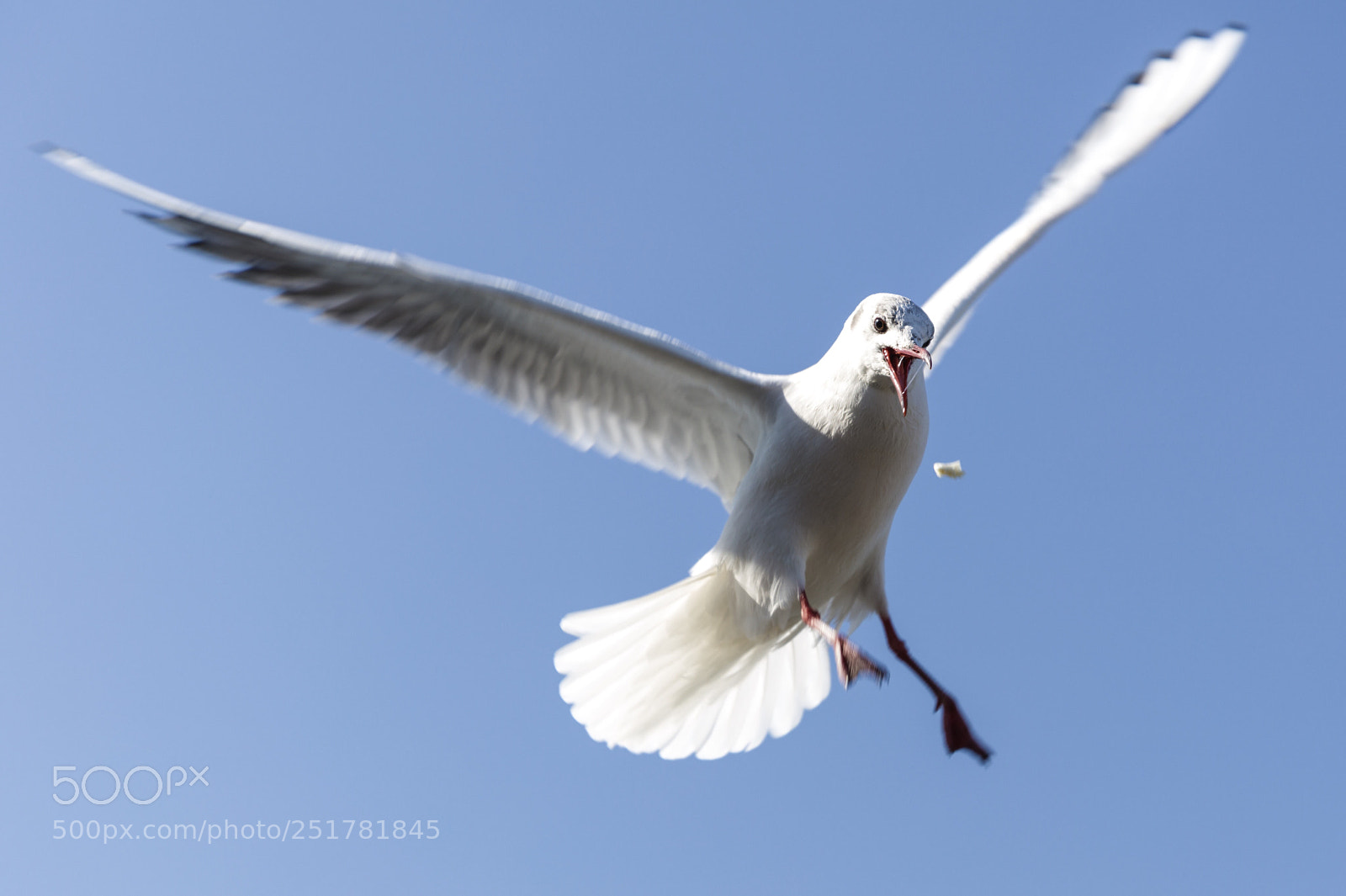 Canon EOS 5DS sample photo. Untitled photography