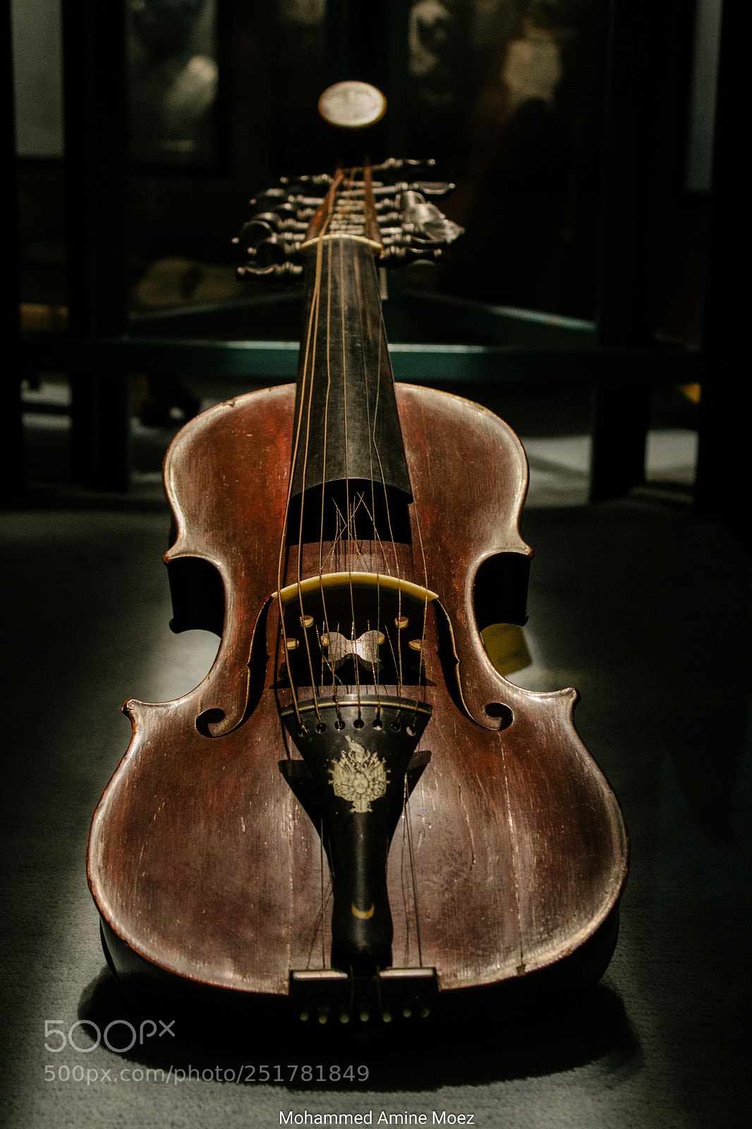 Canon EOS 60D sample photo. Baron's violin ! photography