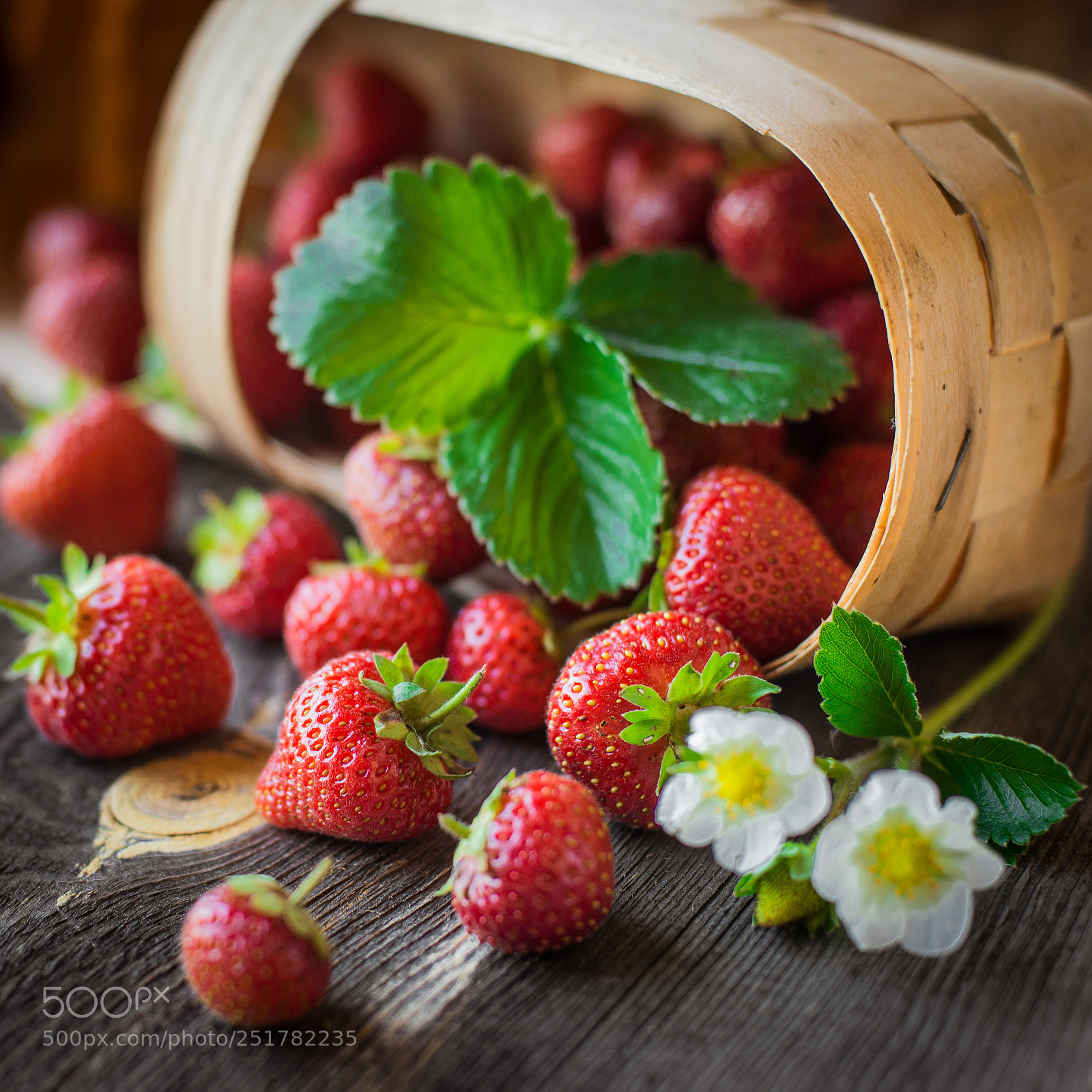 Nikon D800 sample photo. Strawberry is scattered from photography