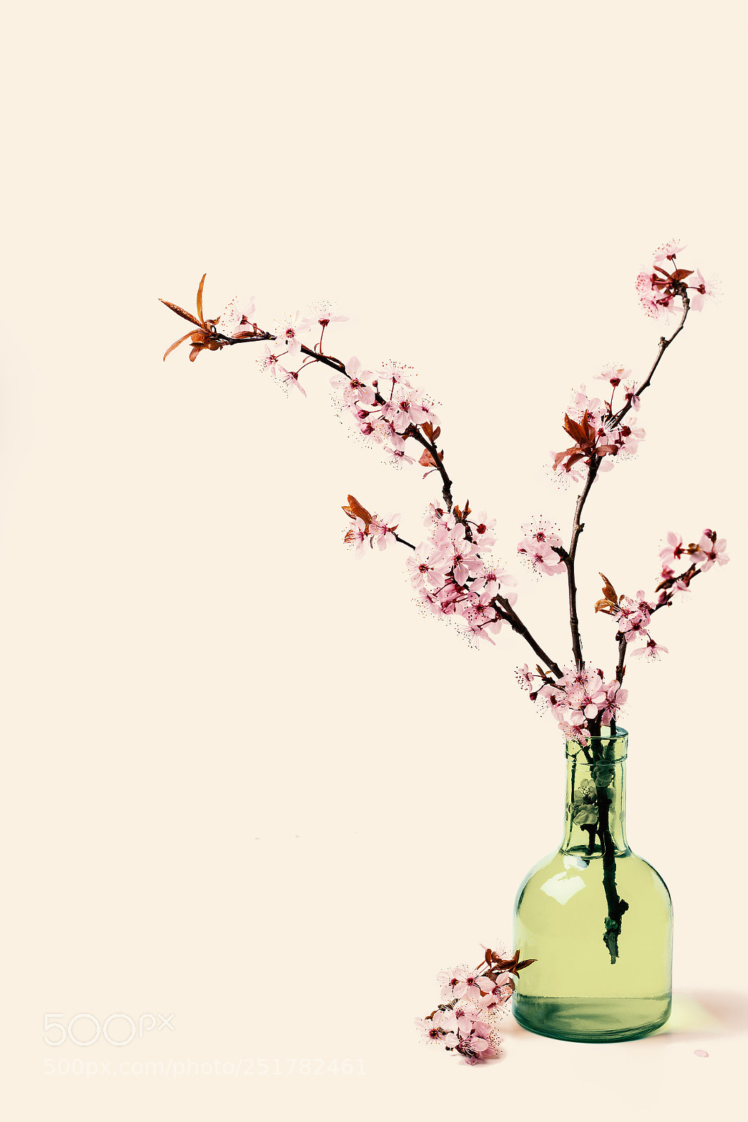 Canon EOS 5D Mark II sample photo. Spring! photography