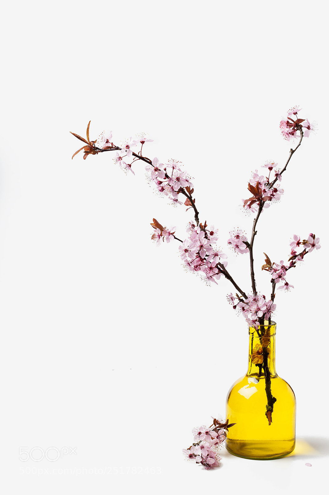 Canon EOS 5D Mark II sample photo. Spring! photography
