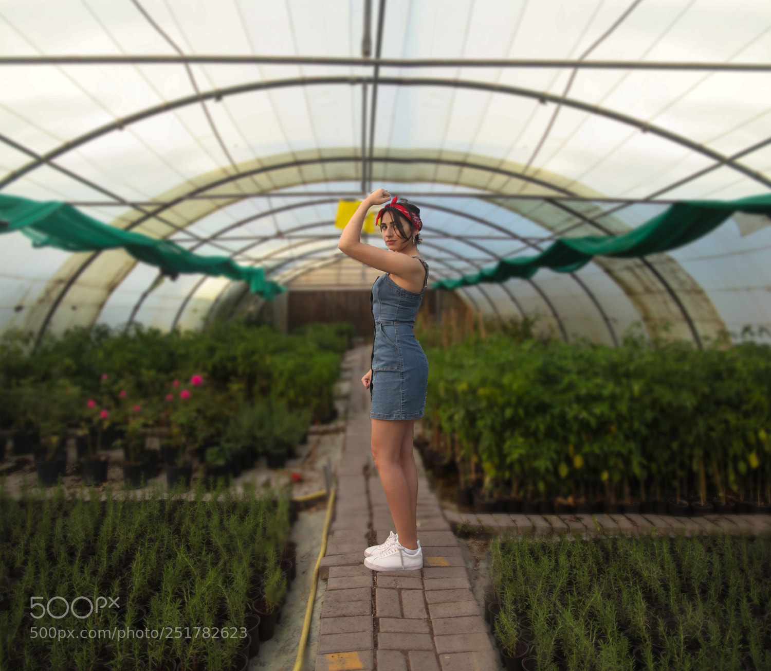 Canon EOS 5D Mark II sample photo. Stand tall photography