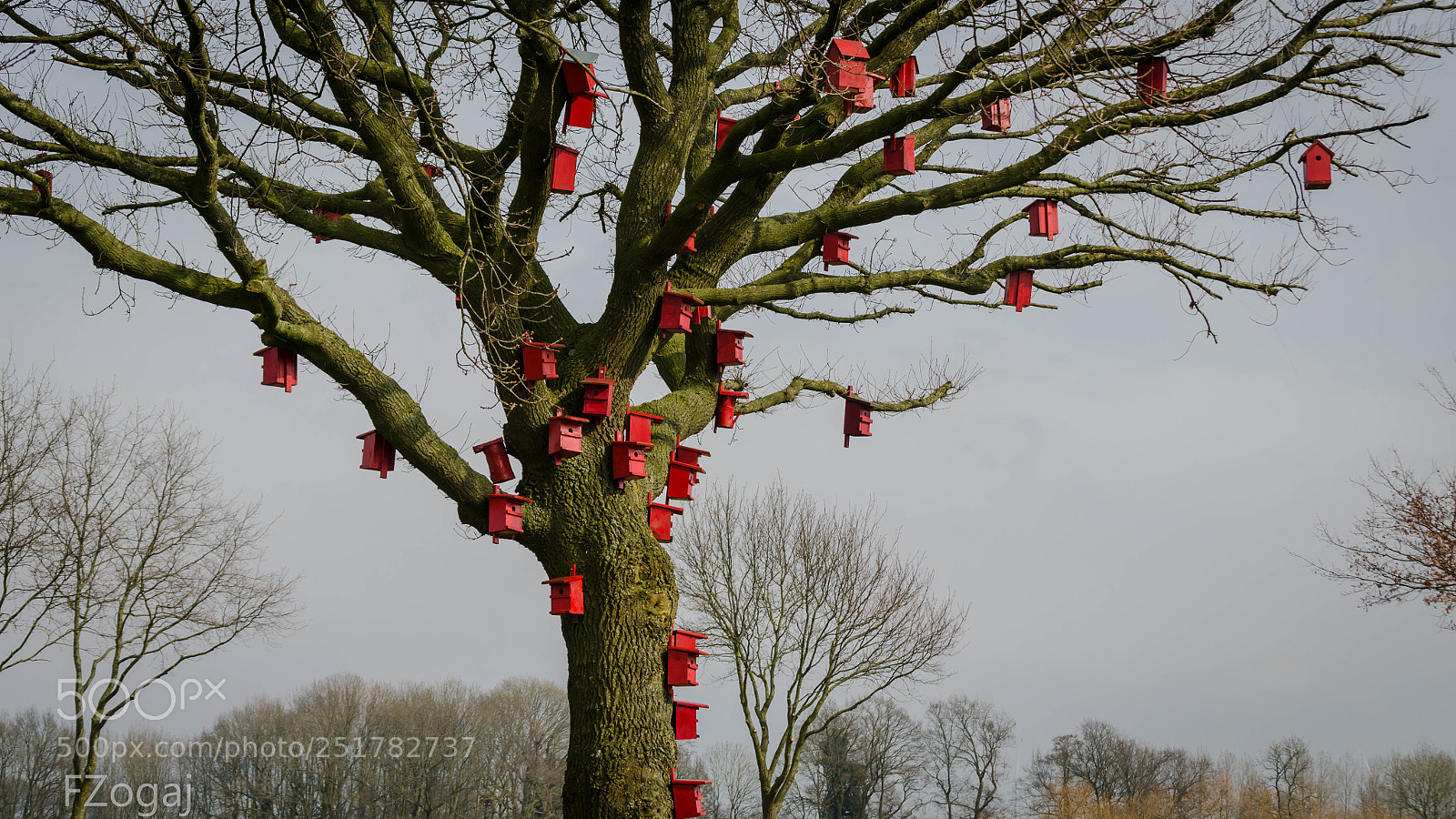 Nikon D5100 sample photo. Untitled photography