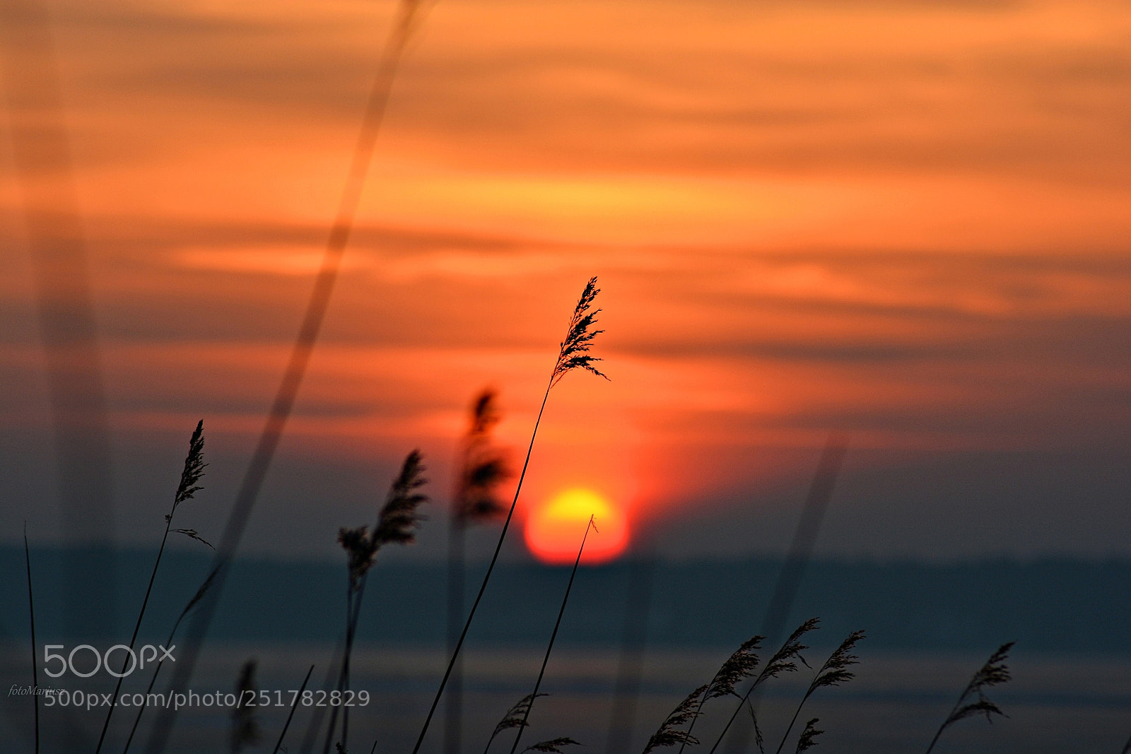 Nikon D5200 sample photo. Sunset photography