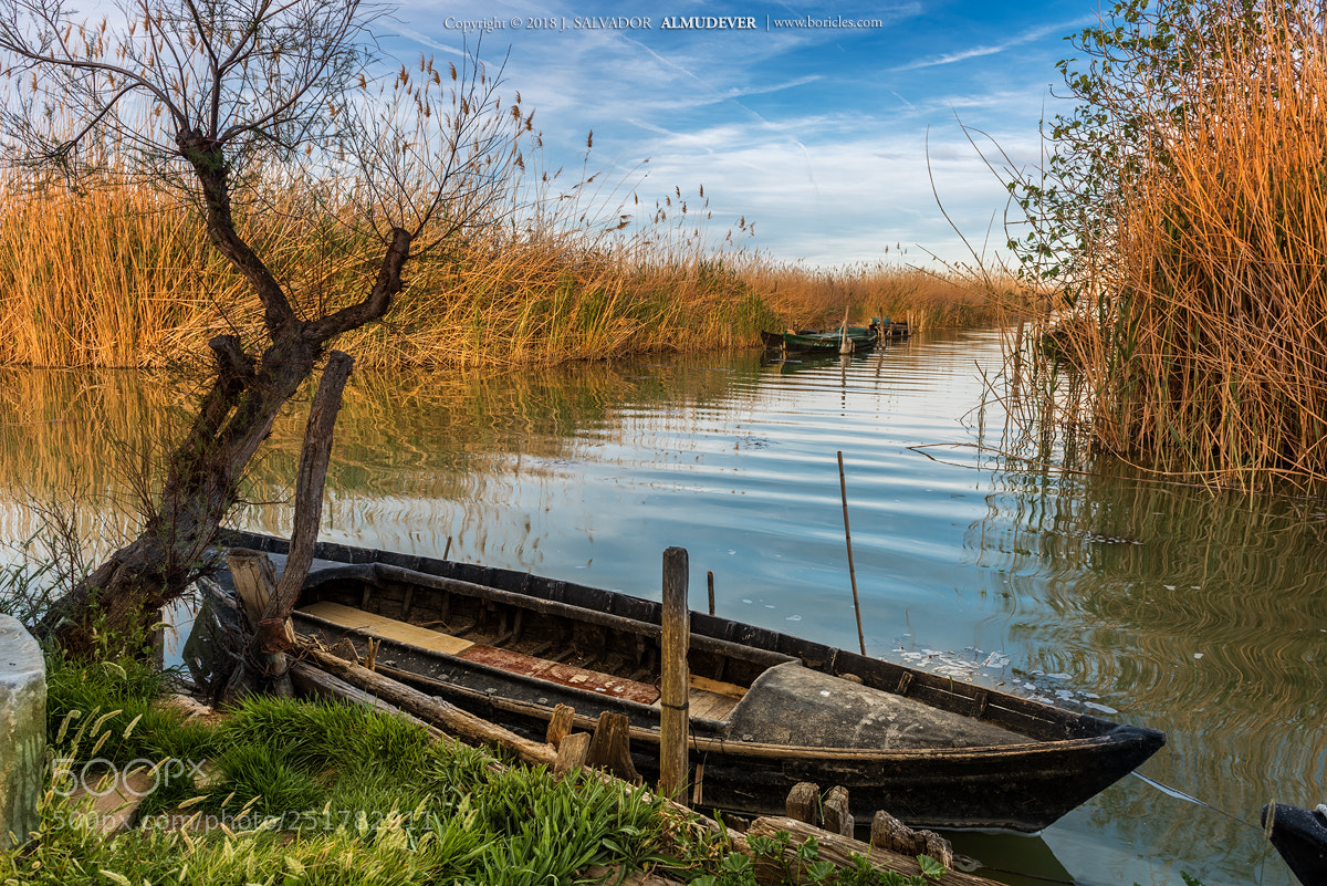 Nikon D810 sample photo. Imagen-02307 photography