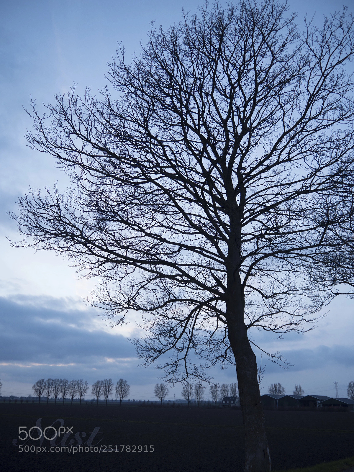 Olympus OM-D E-M5 II sample photo. When you see this photography