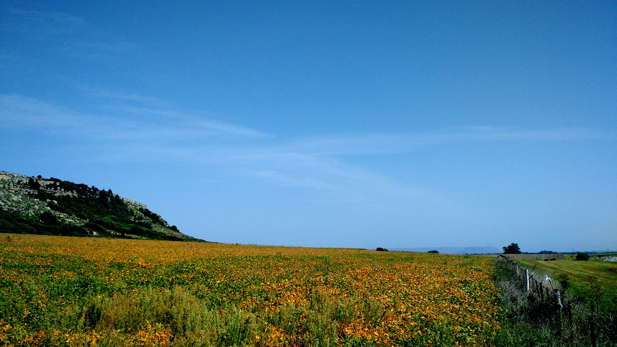Motorola Moto X (2nd Gen) sample photo