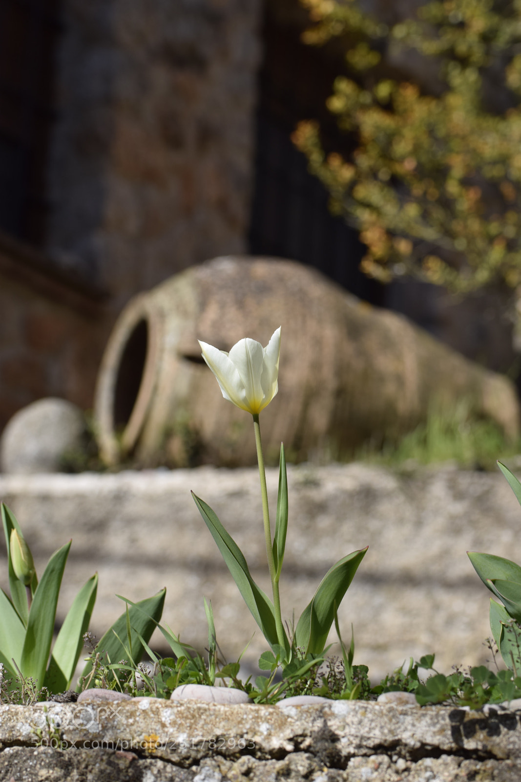 Nikon D5300 sample photo. Untitled photography