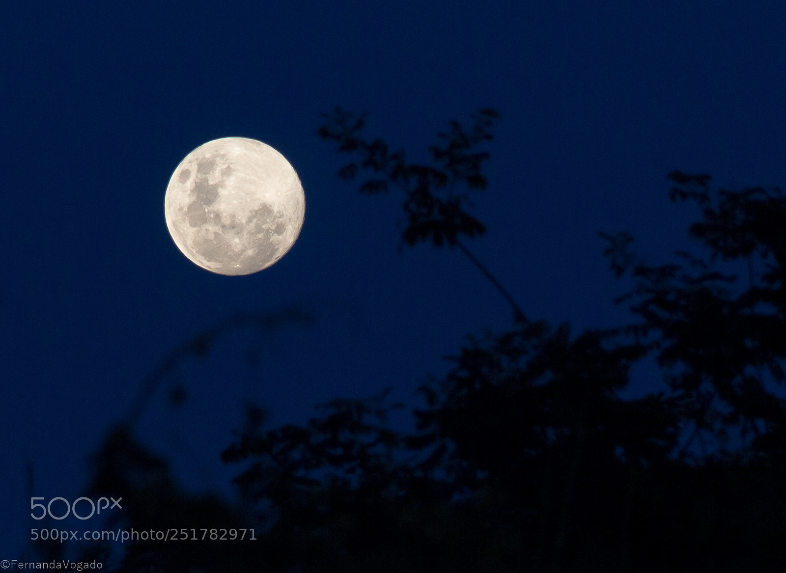 Canon EOS 650D (EOS Rebel T4i / EOS Kiss X6i) sample photo. Moonlight photography