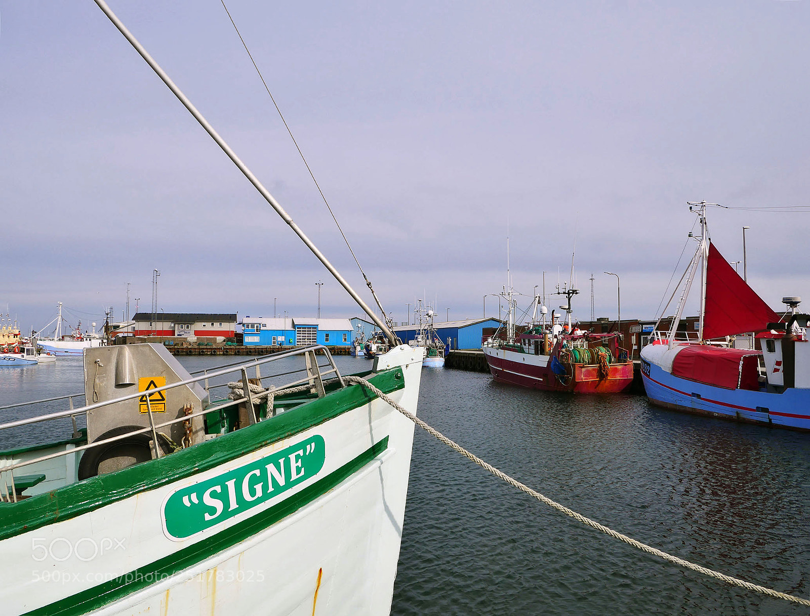 Panasonic Lumix DMC-GX8 sample photo. "signe" photography