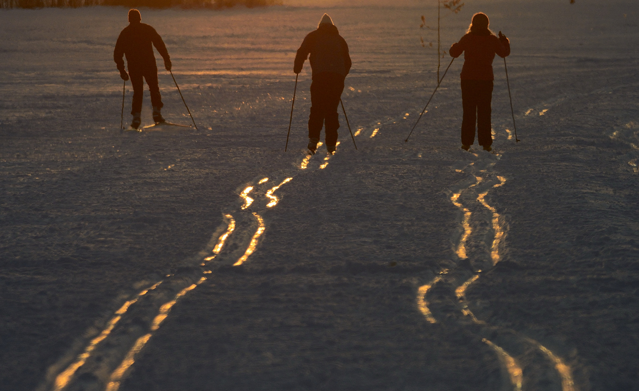 Nikon 1 V2 sample photo. Skiing on gold photography
