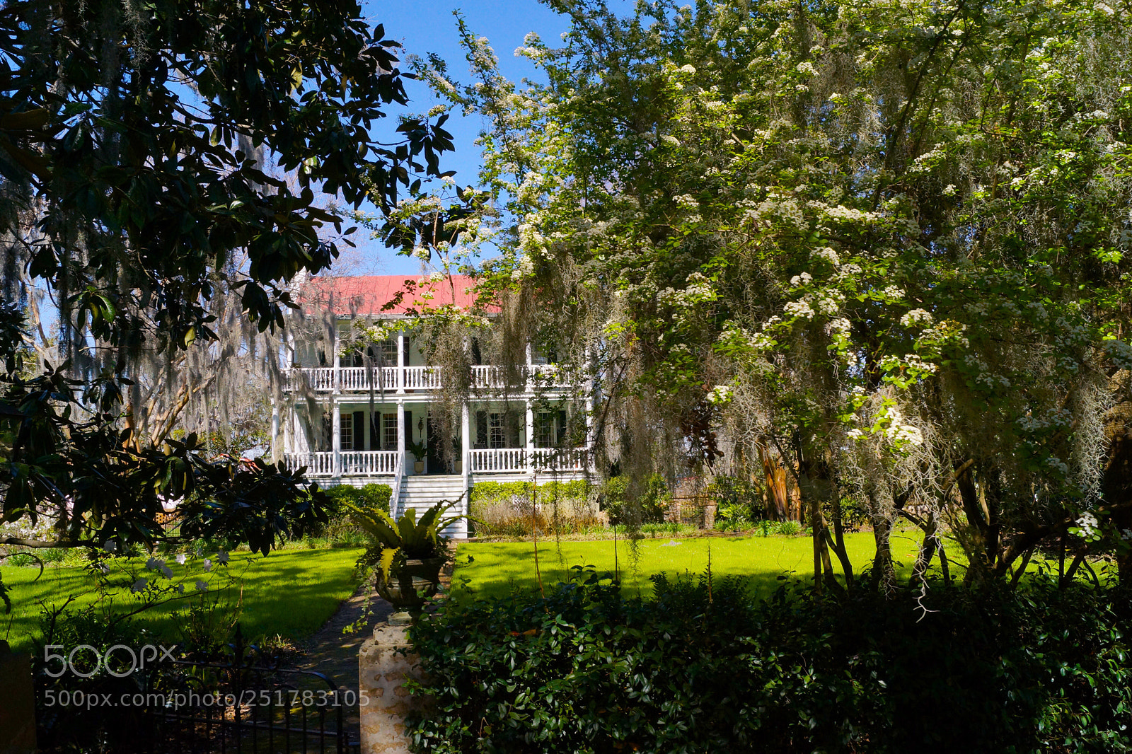 Sony SLT-A65 (SLT-A65V) sample photo. Untitled photography