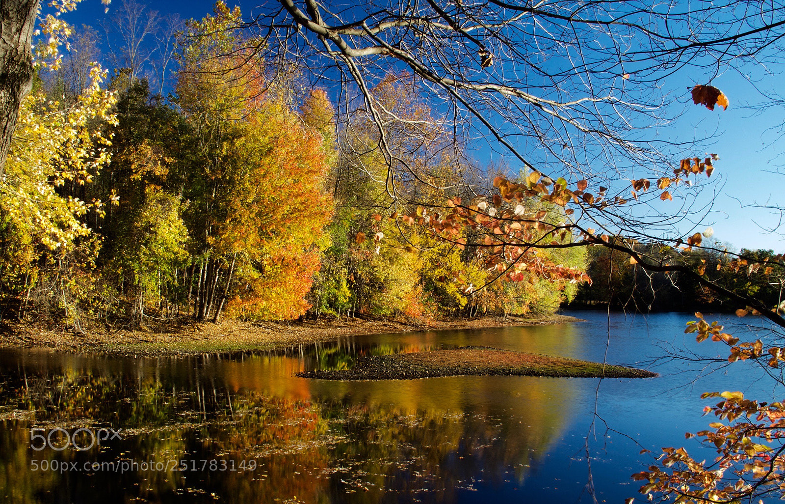 Canon EOS 60D sample photo. Scarlet oak pond sunrise photography
