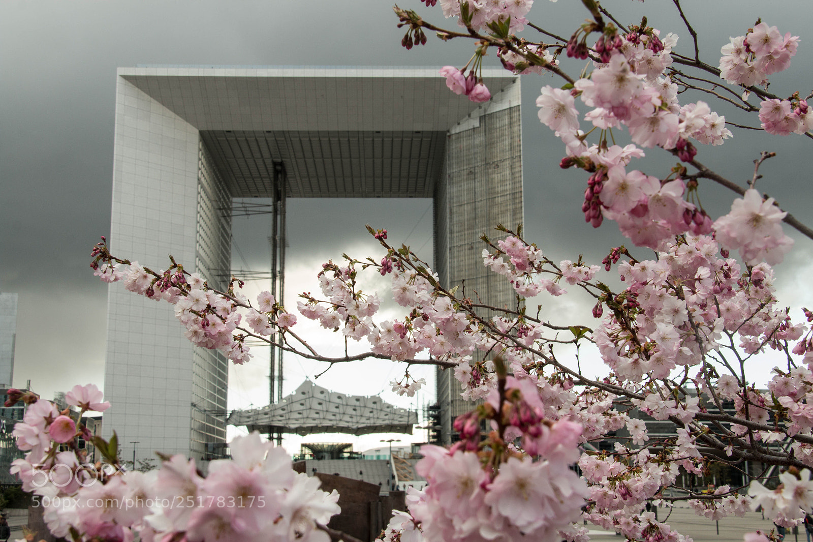 Canon EOS 70D sample photo. #grandarche photography