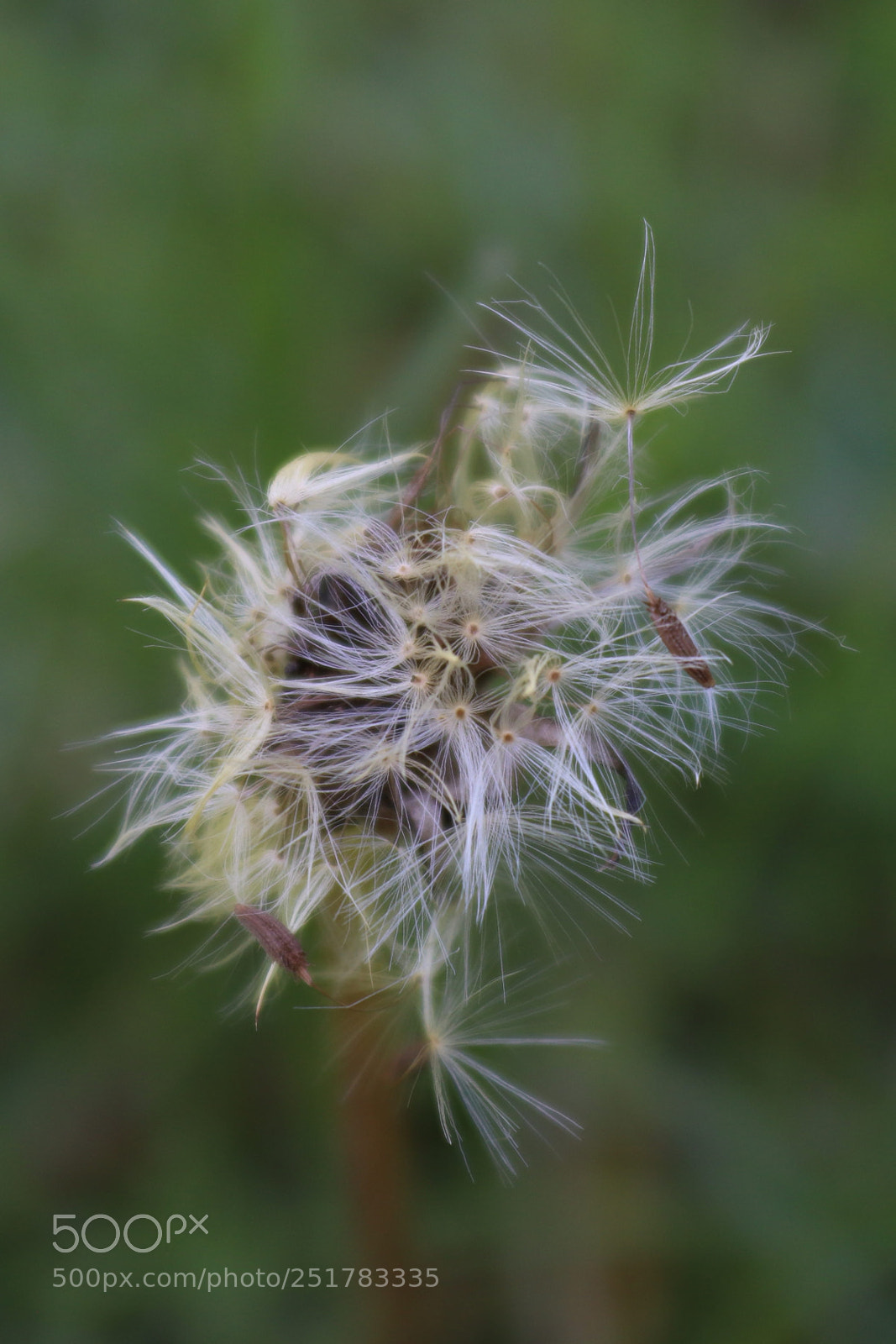 Canon EOS 200D (EOS Rebel SL2 / EOS Kiss X9) sample photo. Messy photography