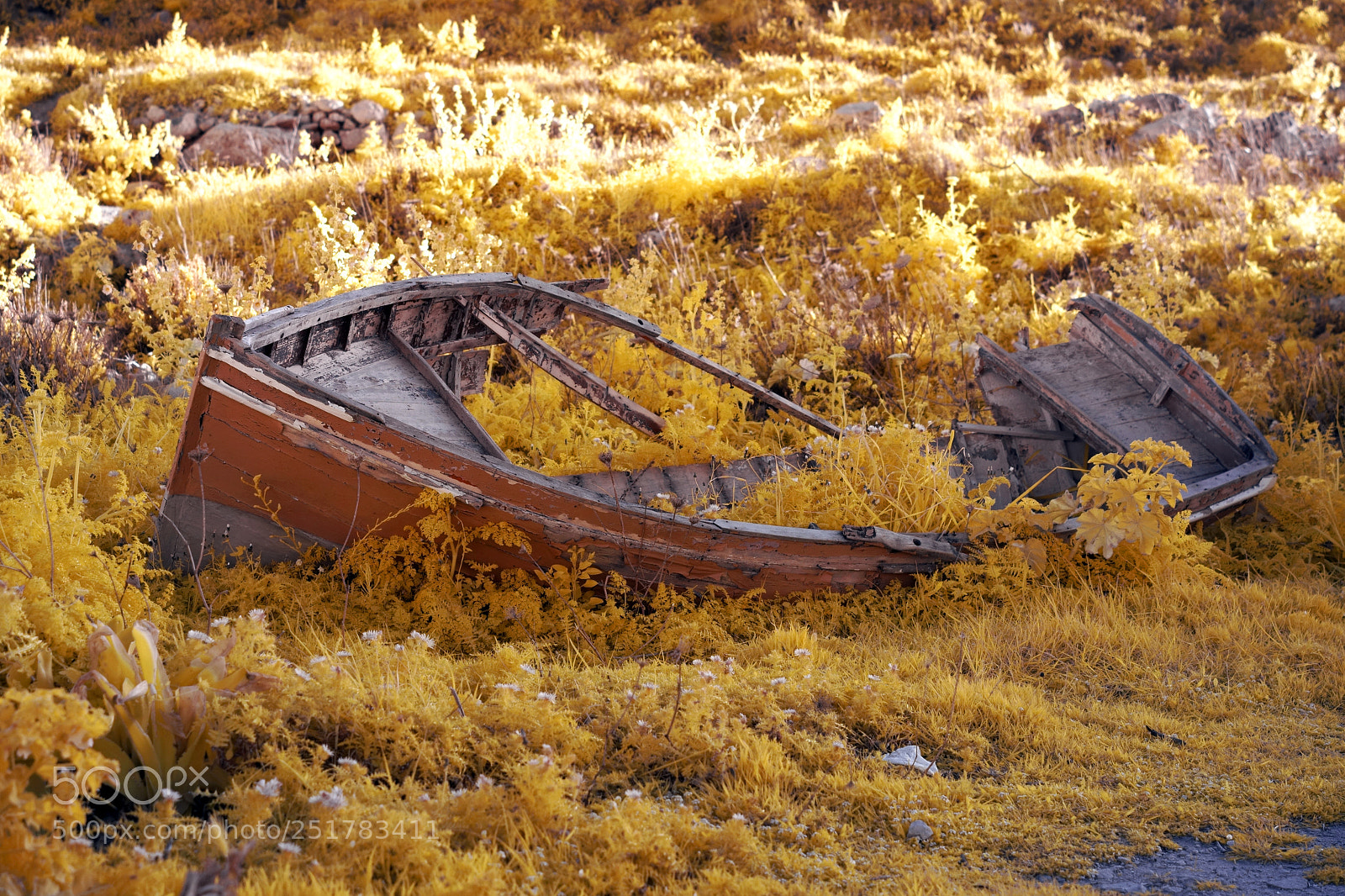 Sony a7 sample photo. Invasion infrared photography