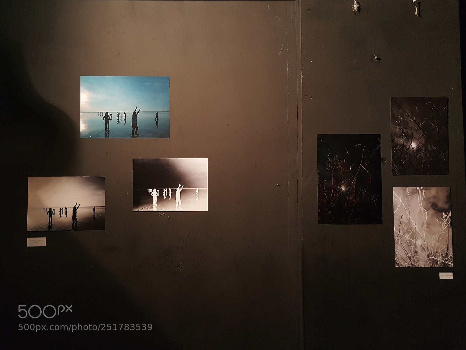 Samsung Galaxy Note5 sample photo. Processed with vsco with photography
