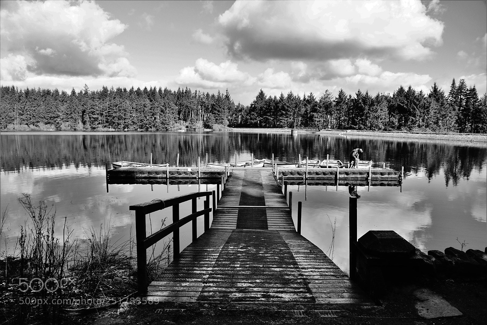 Sony Cyber-shot DSC-RX10 sample photo. Jetty in b&w photography