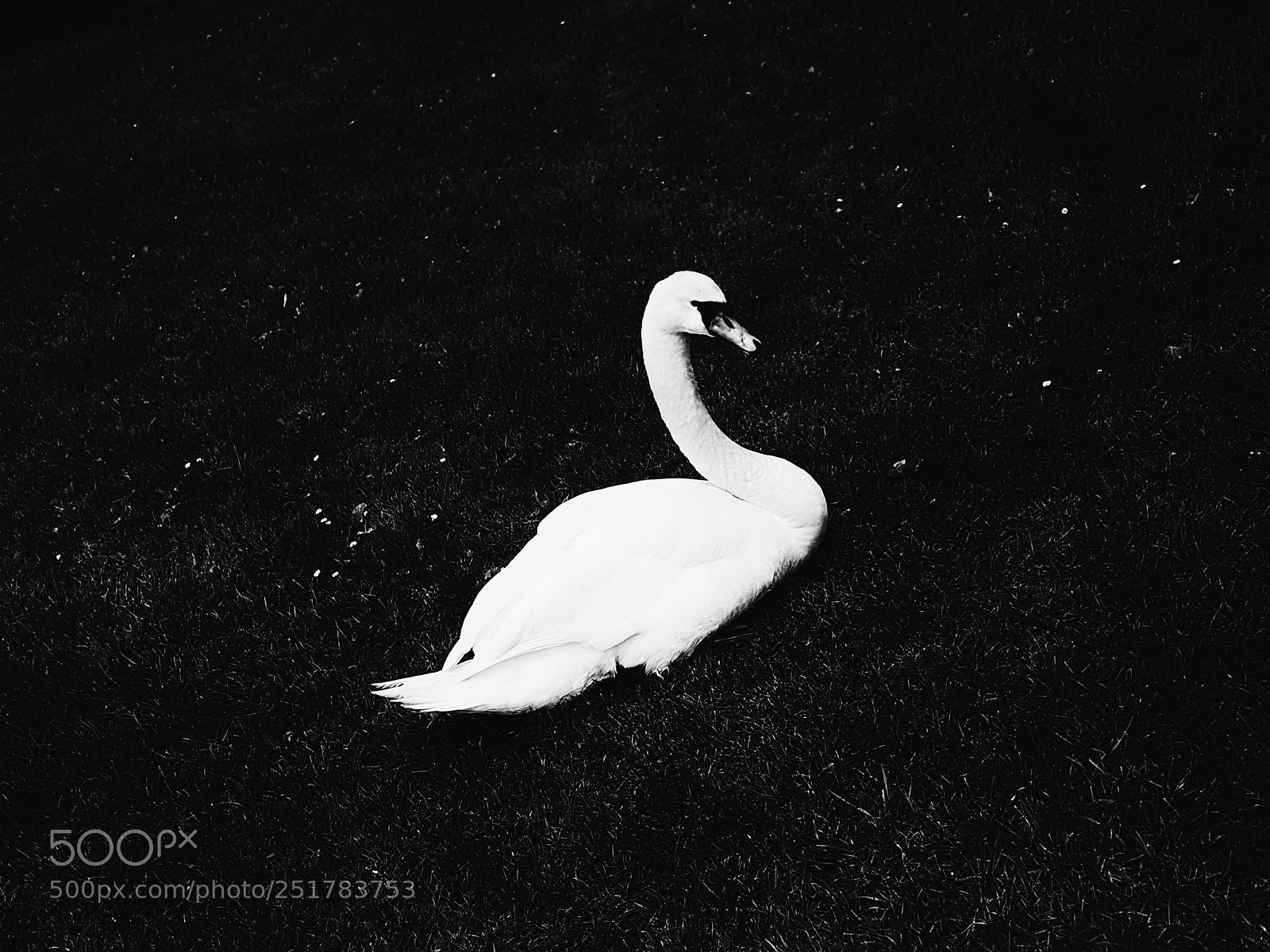 Samsung Galaxy Note5 sample photo. Processed with vsco with photography
