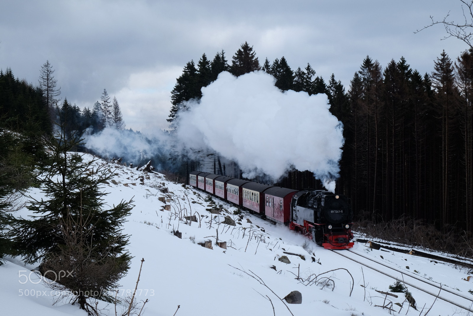Fujifilm X-E2 sample photo. Durch den schnee photography