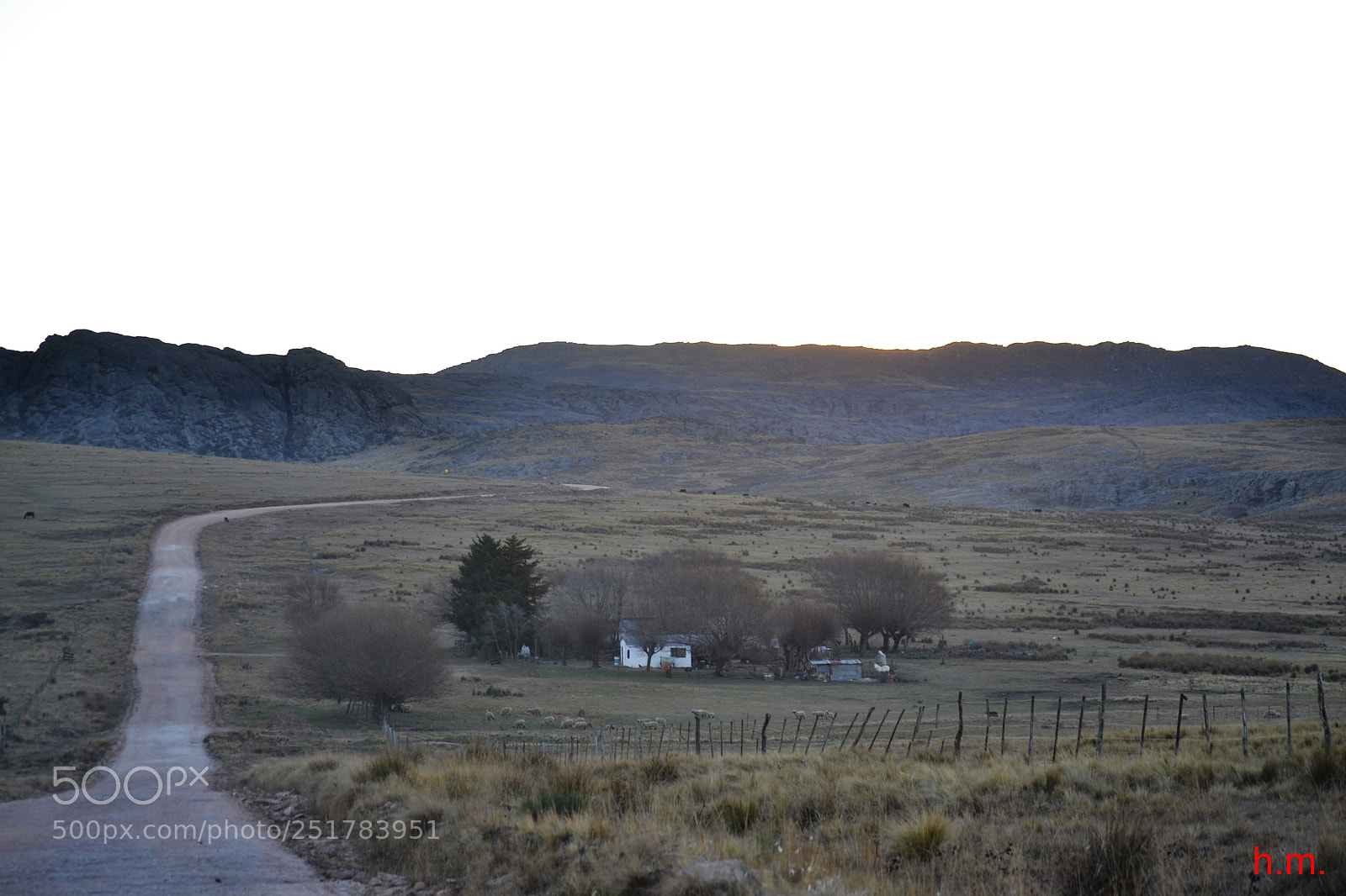 Nikon D3100 sample photo. Cacacao photography