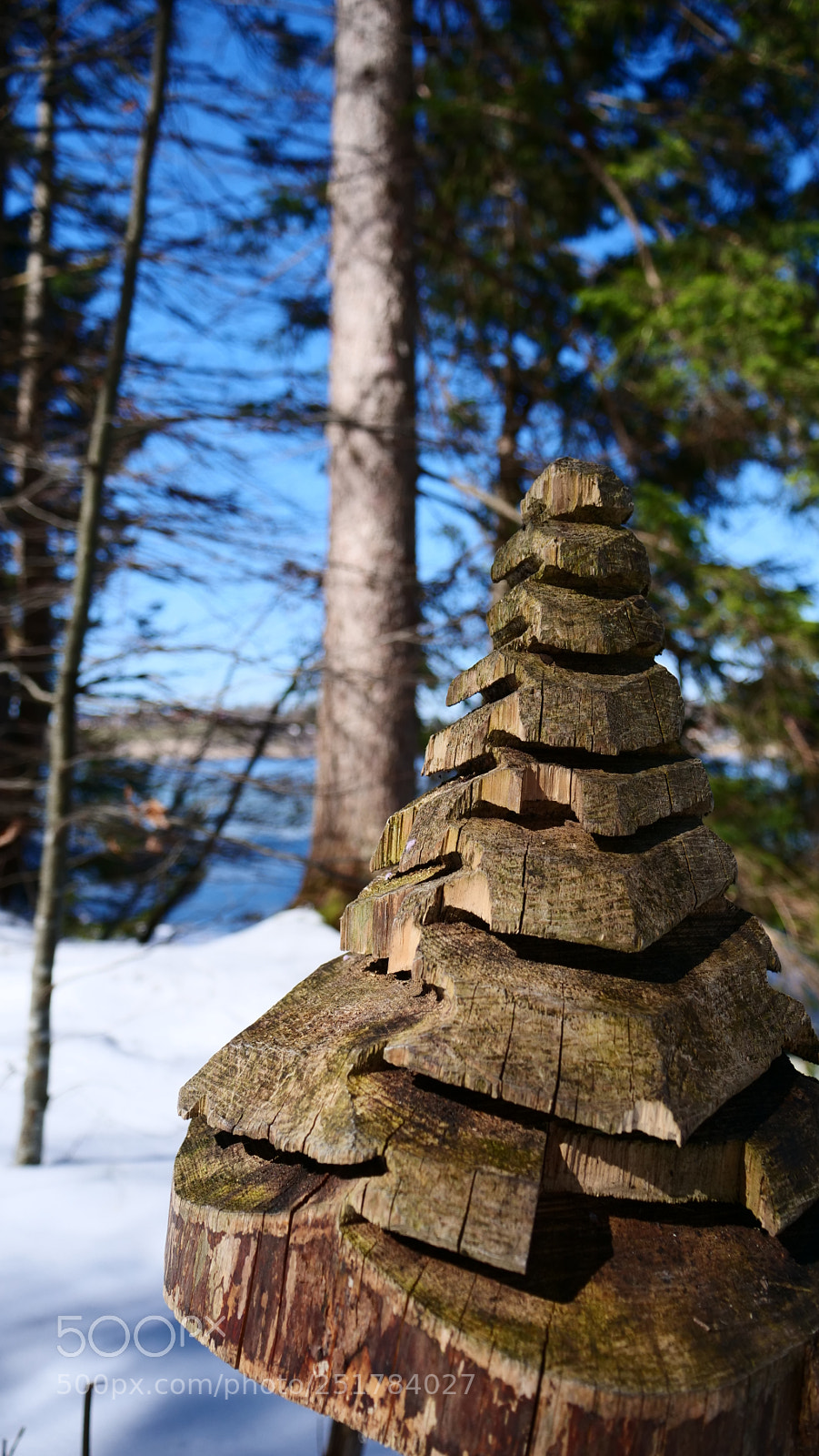 Panasonic Lumix DC-G9 sample photo. Untitled photography