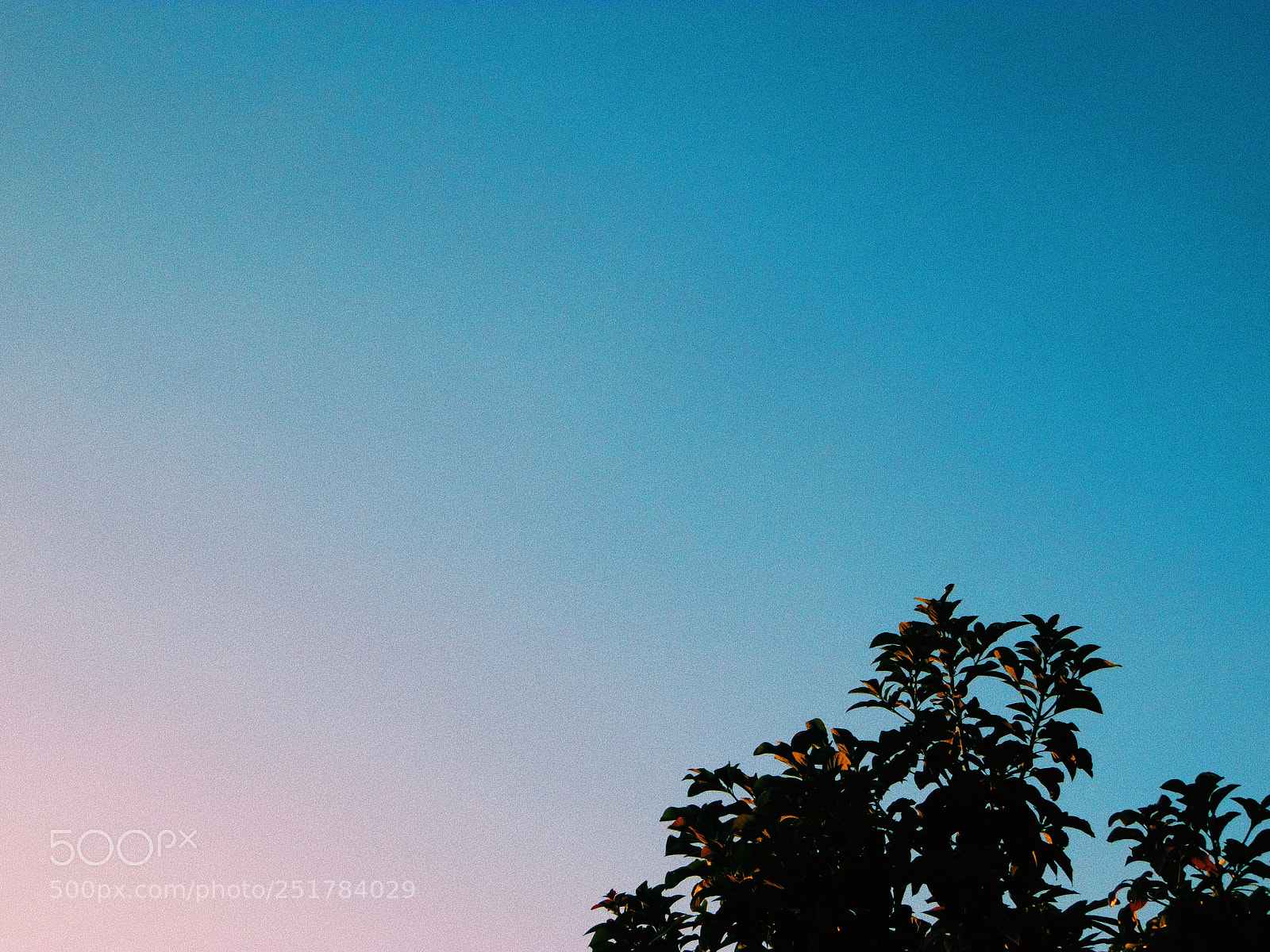Samsung WB1100F/WB1101F/WB1102F sample photo. Untitled photography