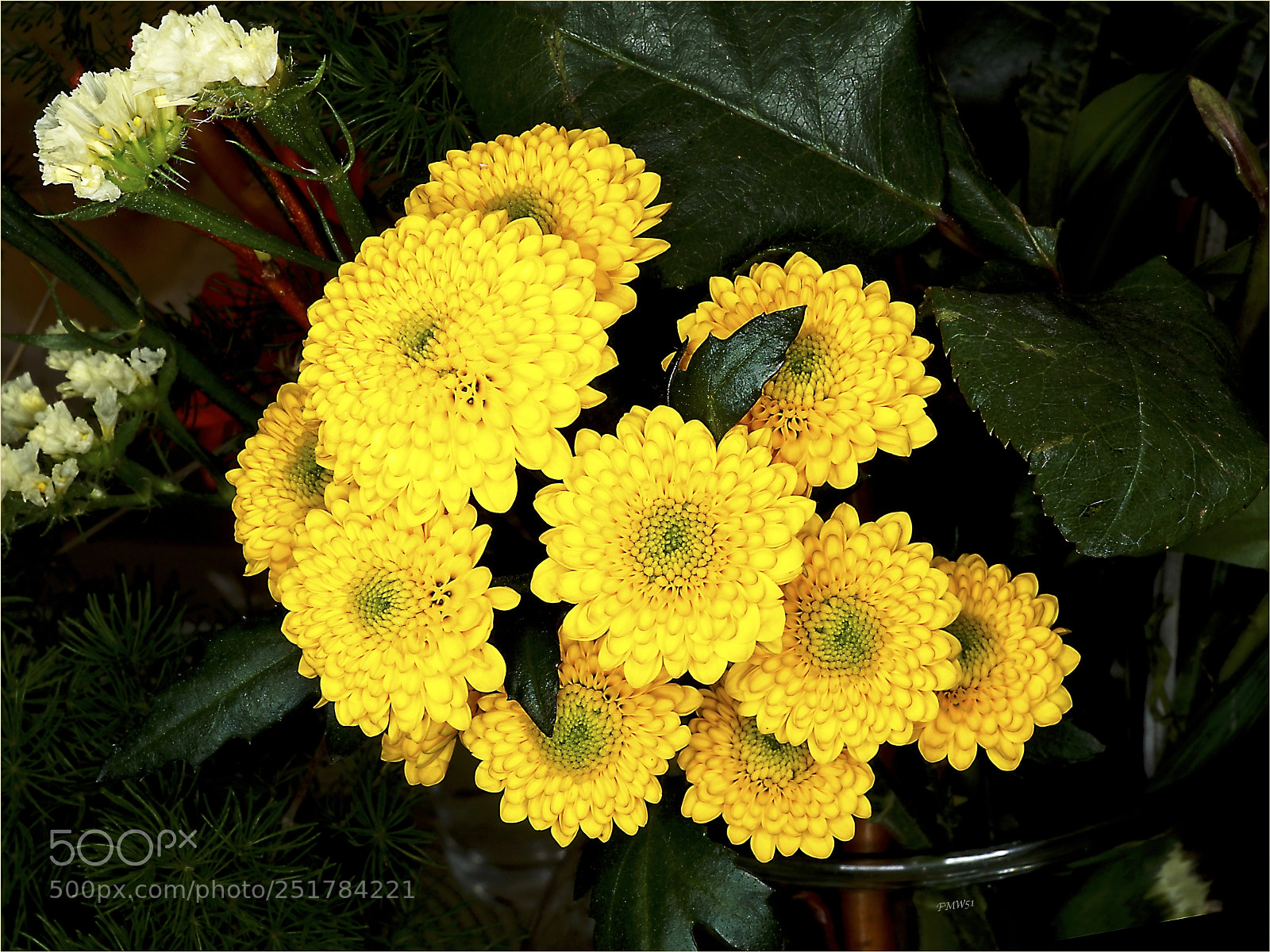 Sony ILCA-77M2 sample photo. Little yellow balls photography