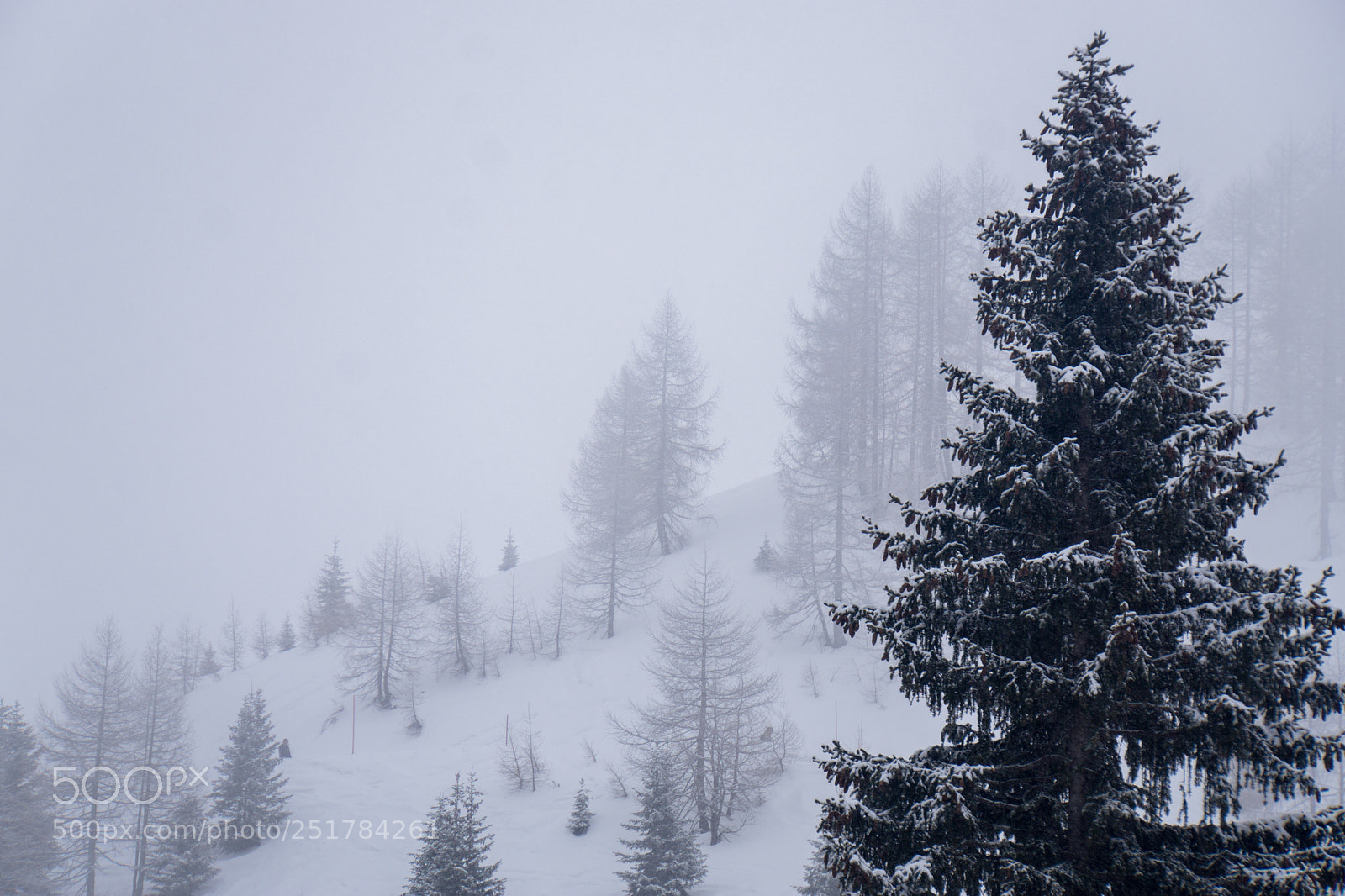 Sony a6000 sample photo. Whiteout photography