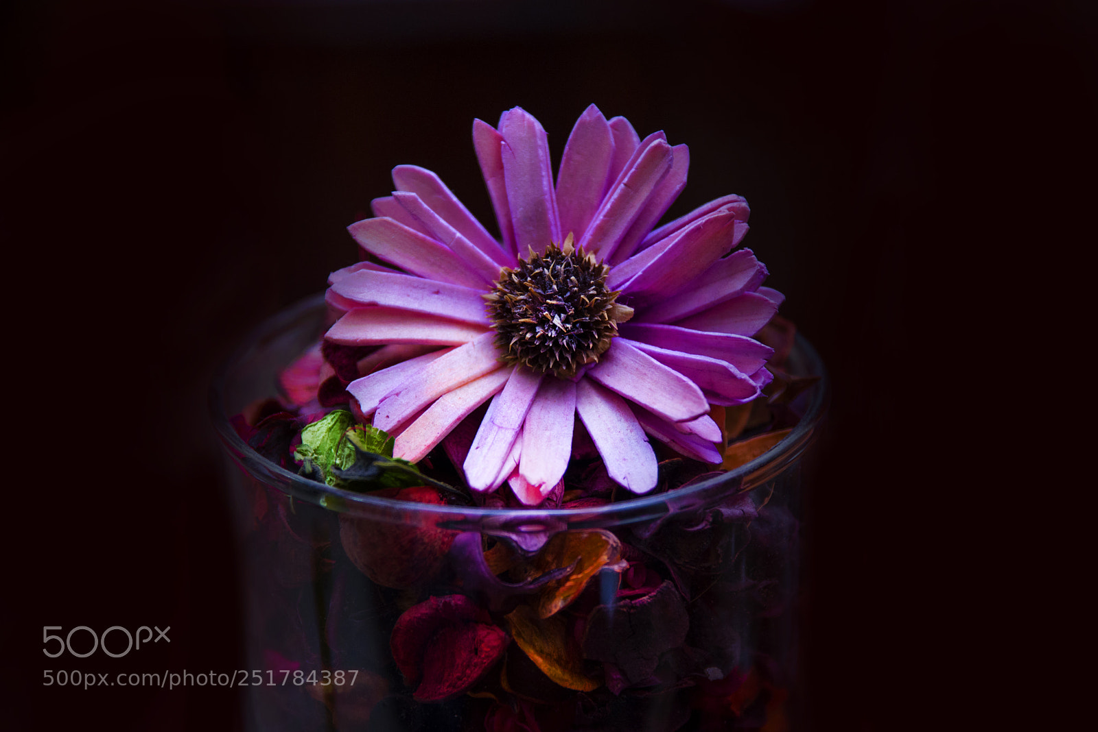 Nikon D610 sample photo. Flowers photography