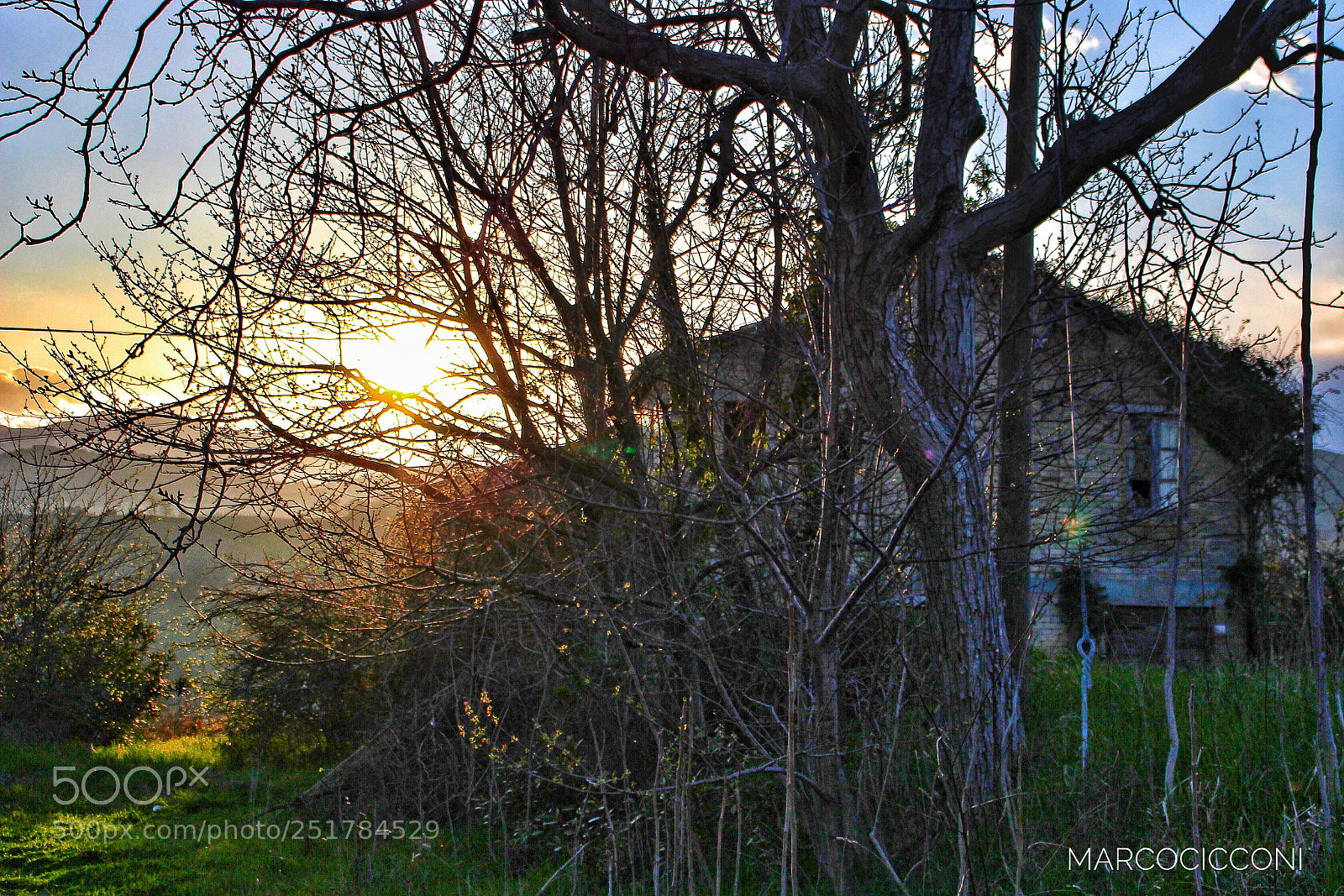 Canon EOS 100D (EOS Rebel SL1 / EOS Kiss X7) sample photo. Passeggiate libera_mente photography