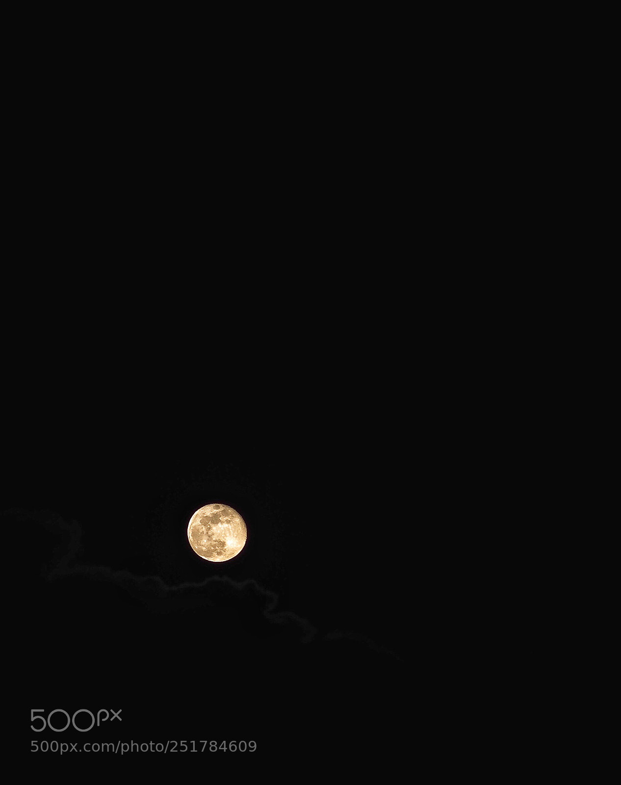 Olympus OM-D E-M1 Mark II sample photo. Untitled photography