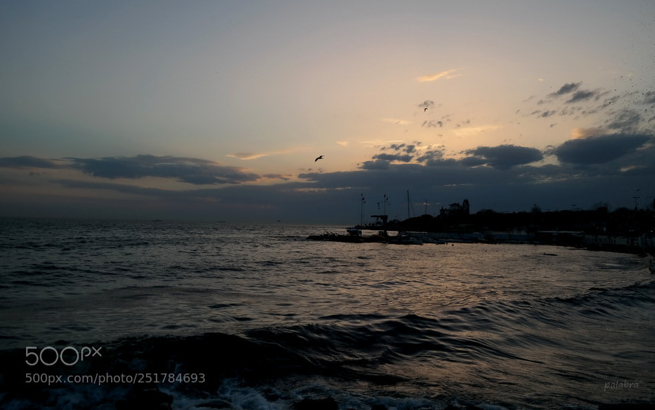 Samsung NX300 sample photo. ... photography