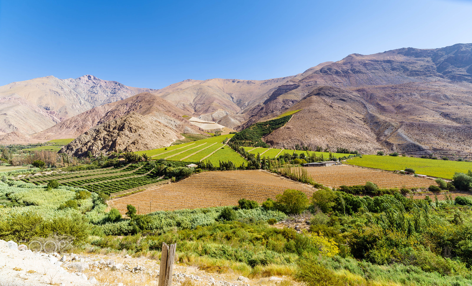Pentax K-1 sample photo. Valle de elqui photography