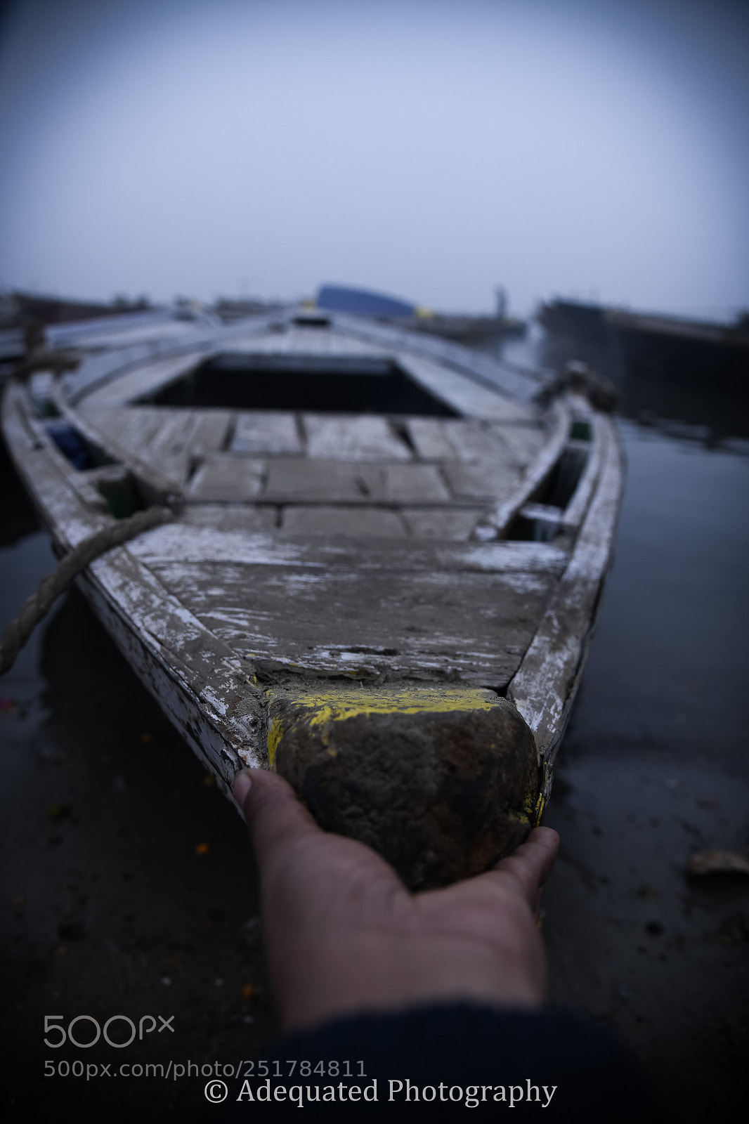 Nikon D850 sample photo. Untitled photography