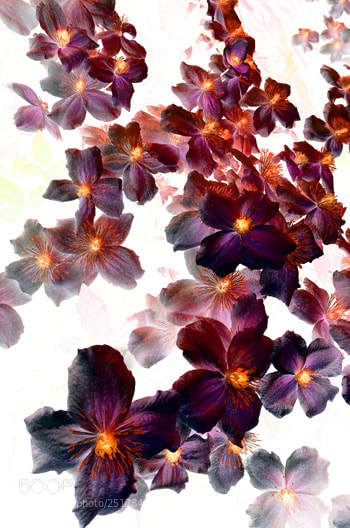 Nikon D7000 sample photo. Designer 103365 x7 photography