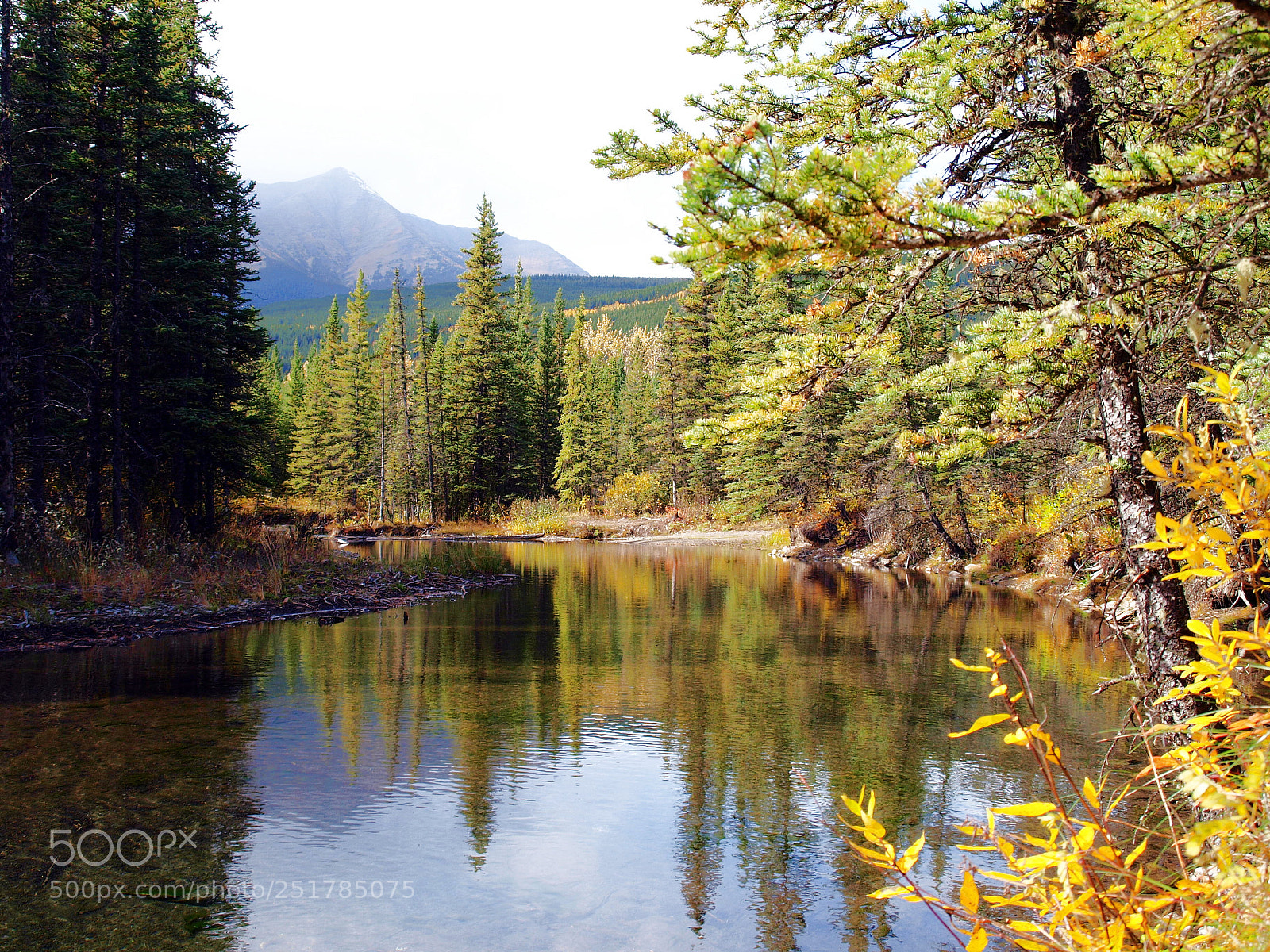 Olympus E-520 (EVOLT E-520) sample photo. Beaver ponds photography