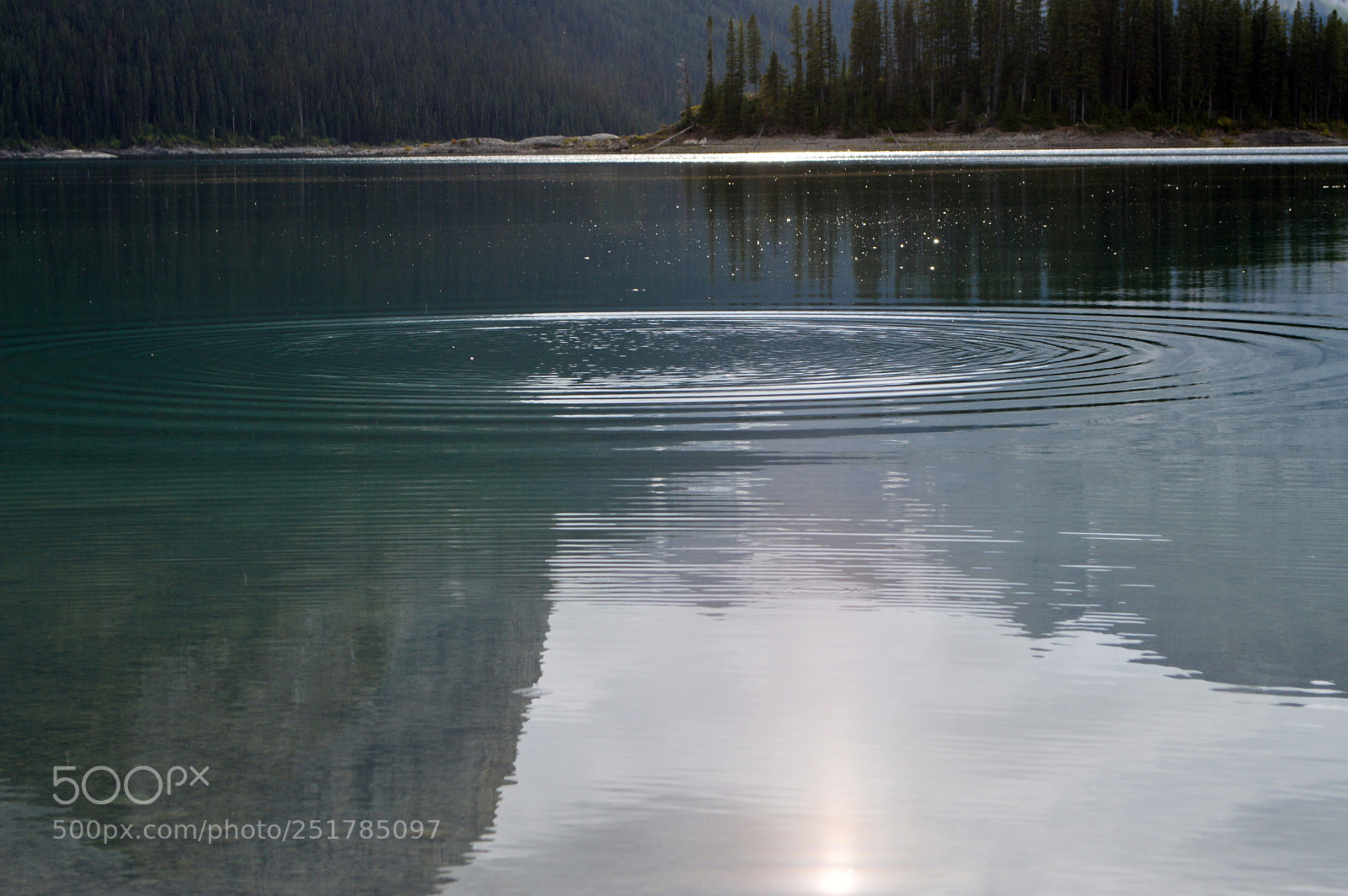 Nikon D3200 sample photo. Ripples in the water photography
