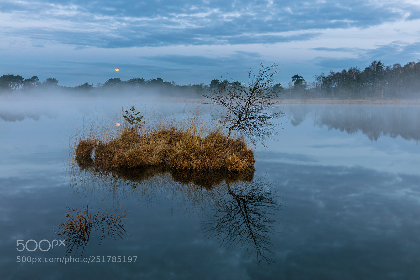 Canon EOS 5DS R sample photo. Blue hour reflections photography