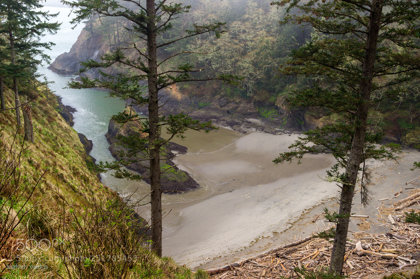 Canon EOS 600D (Rebel EOS T3i / EOS Kiss X5) sample photo. Cove, deception pass state photography