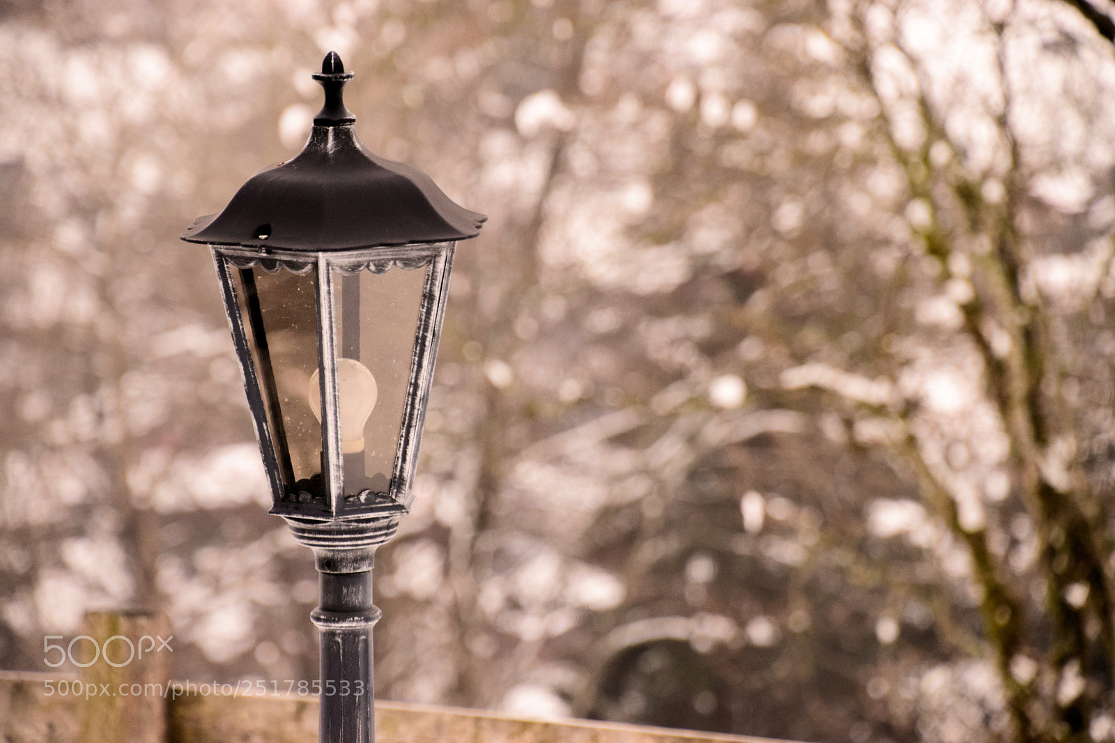 Nikon D3300 sample photo. Lamp post with snow photography