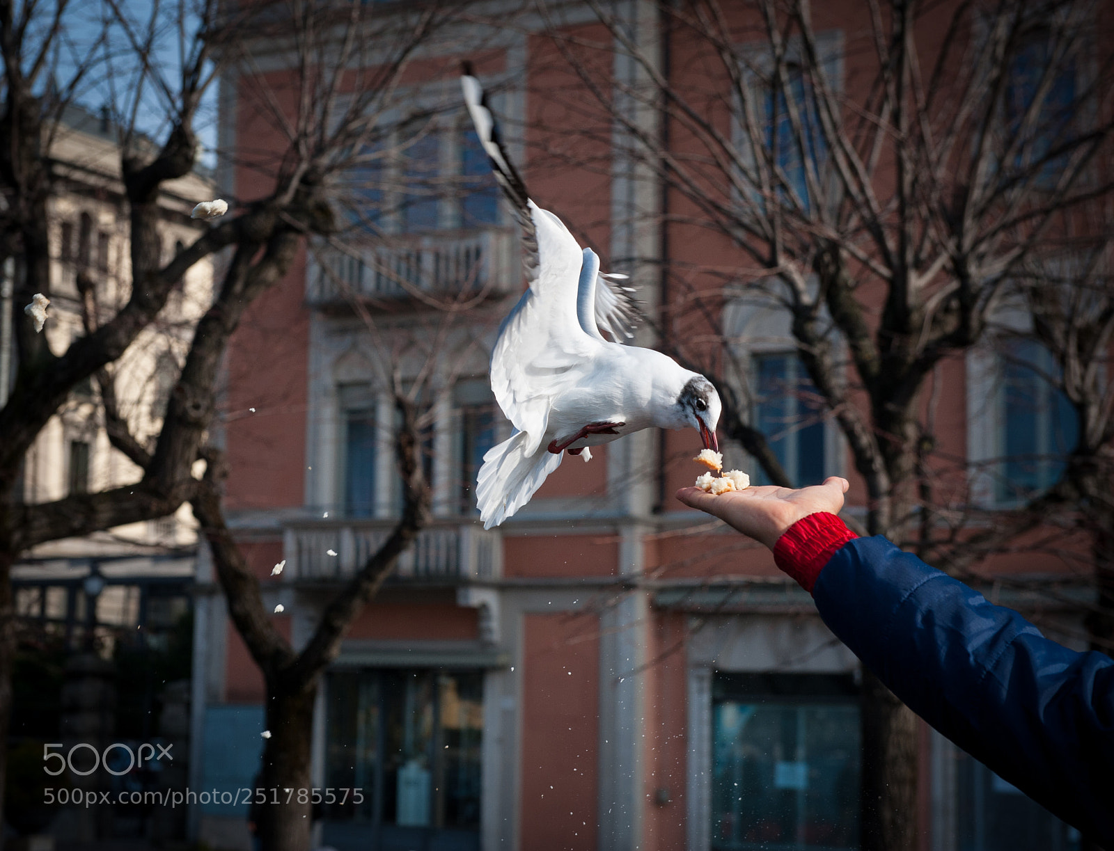 Nikon D700 sample photo. Al vuelo photography