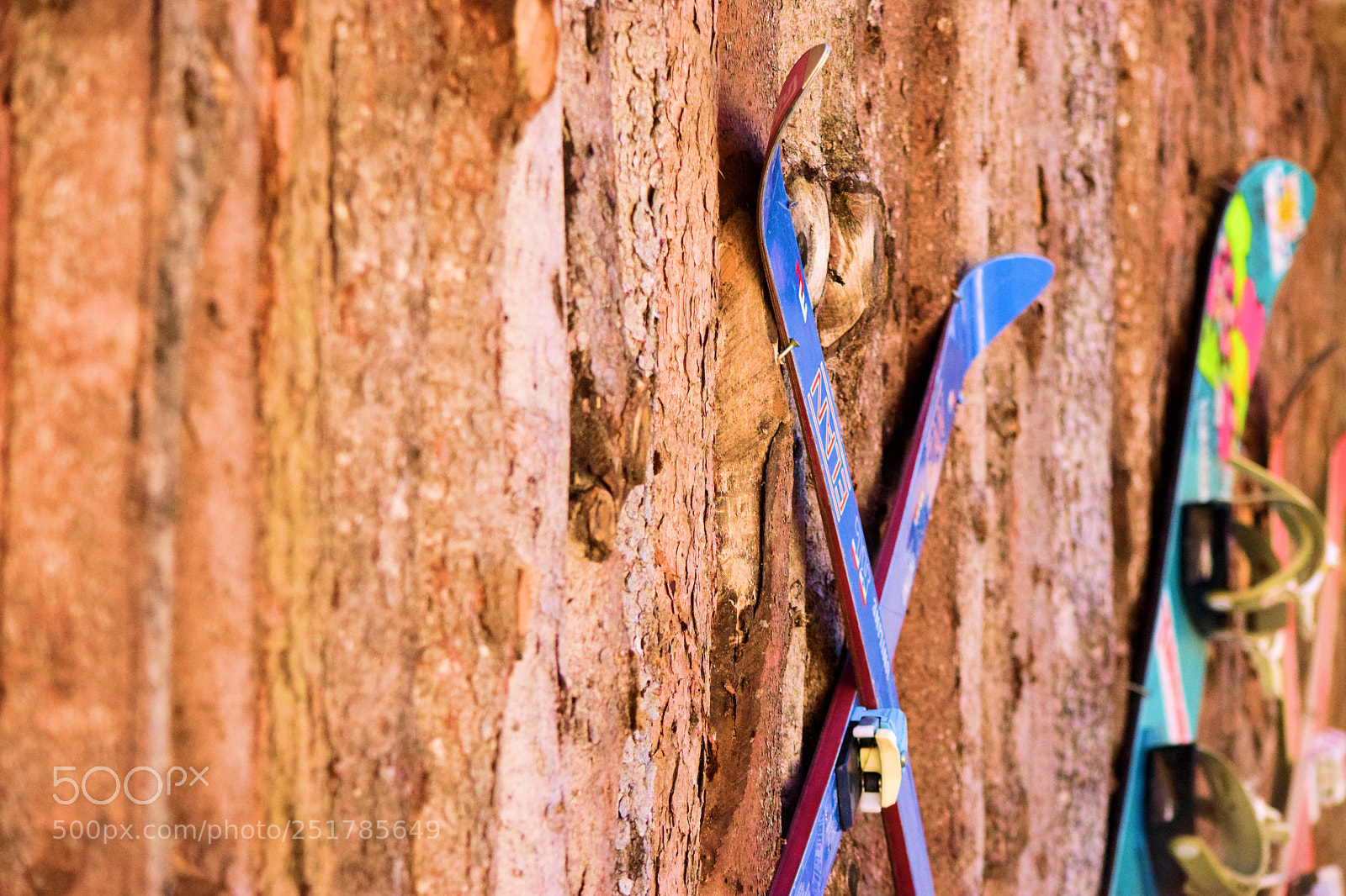 Nikon D3300 sample photo. Skis and snowboard against photography