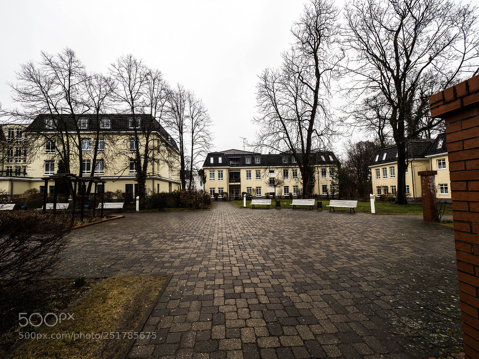 Olympus OM-D E-M5 II sample photo. Olympus digital camera photography