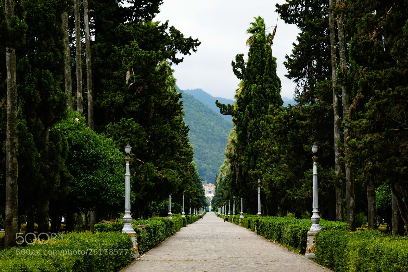 Nikon D3300 sample photo. Nice walking pathway in photography