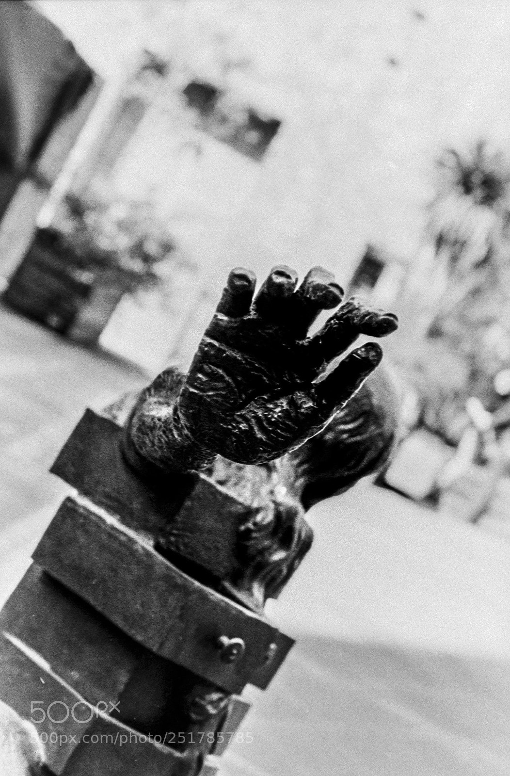 Nikon D200 sample photo. The hand of the photography