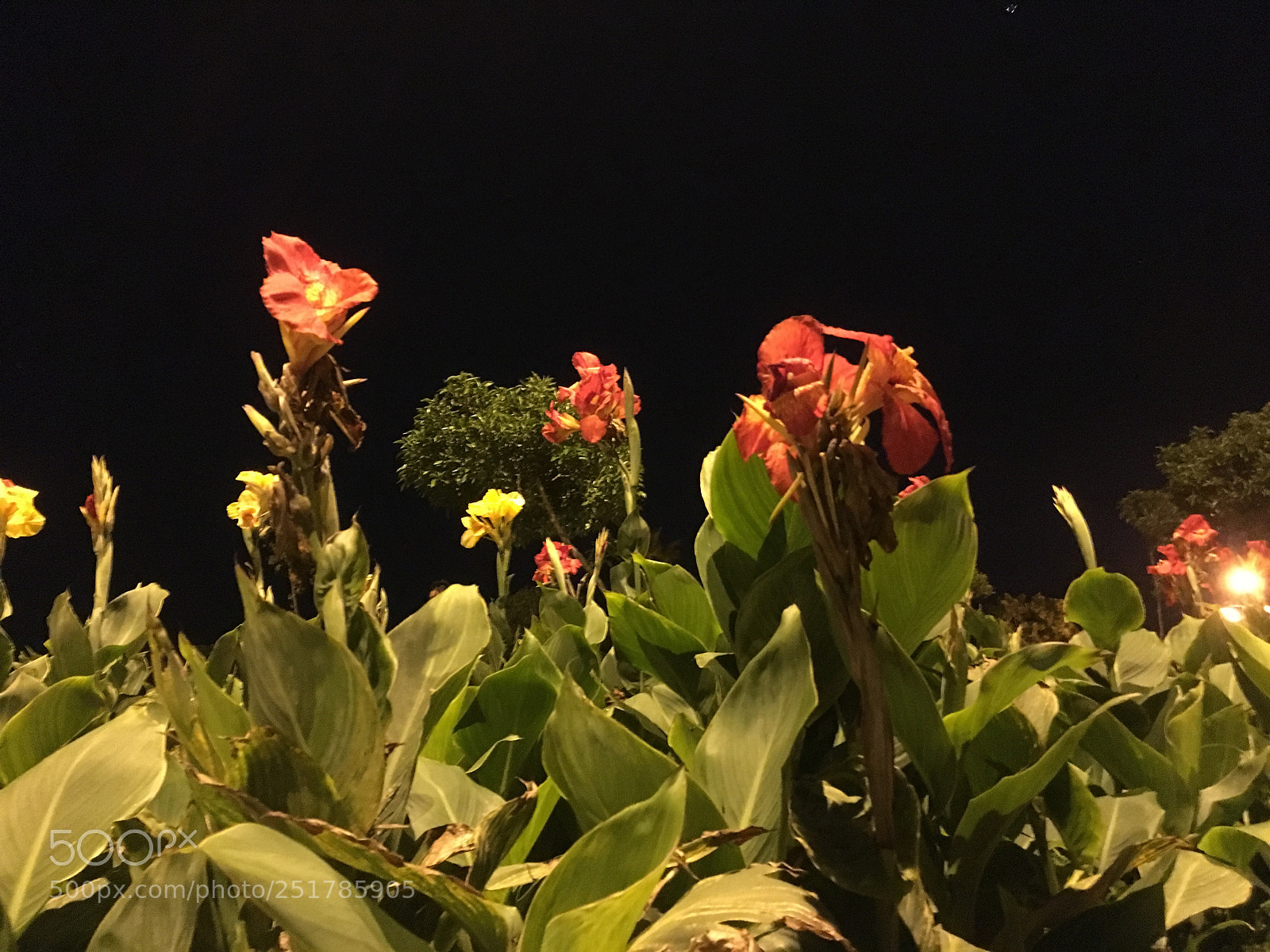 Apple iPhone 6s sample photo. Noche photography