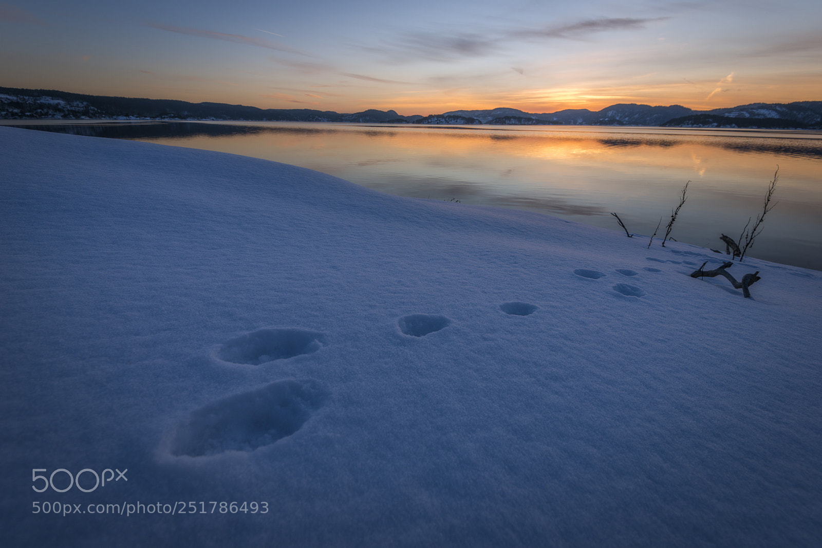 Nikon D800 sample photo. Hare tracks in snow photography